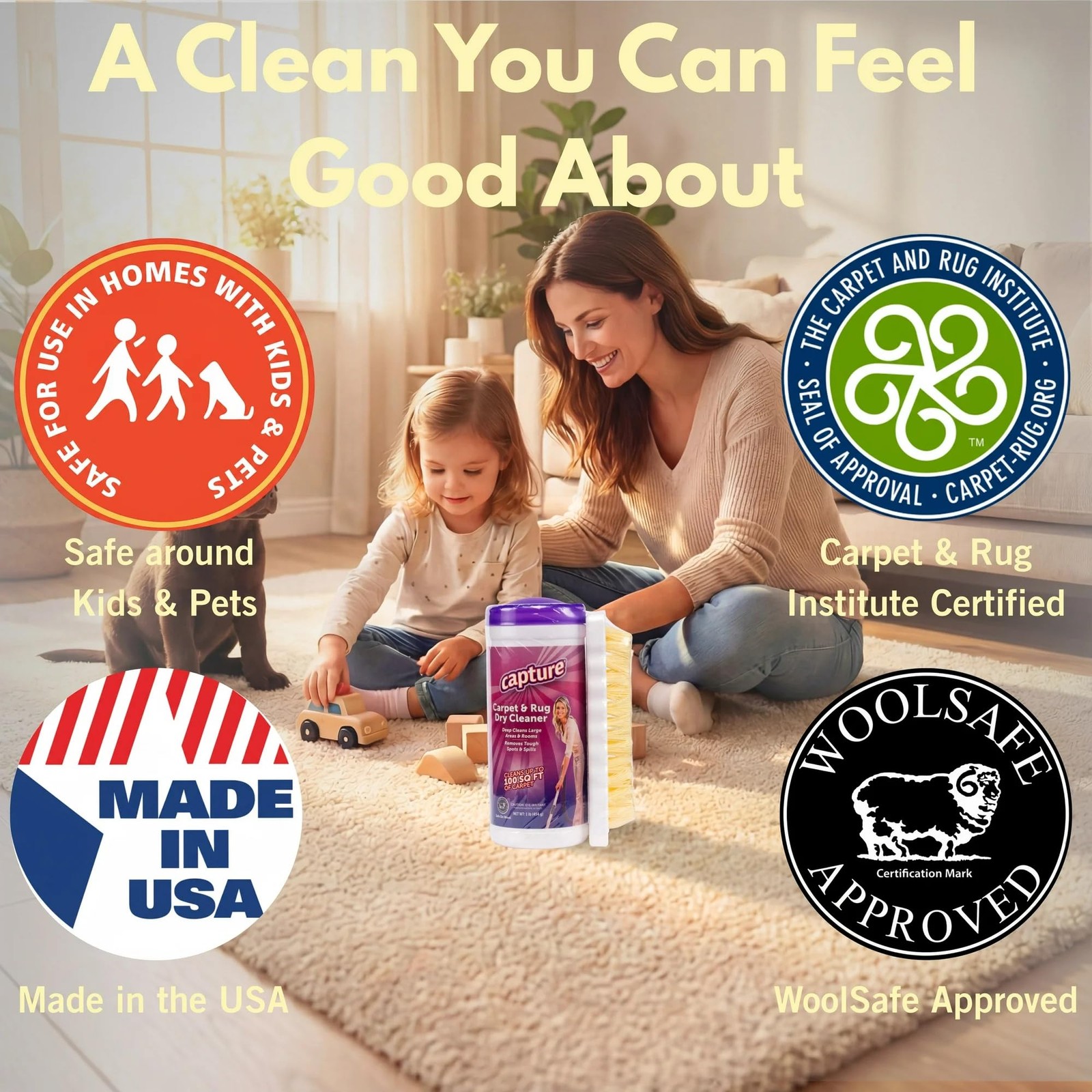 Carpet & Rug Dry Cleaner w/Brush – Carpet Deodorizer & Freshener Powder – Spo…