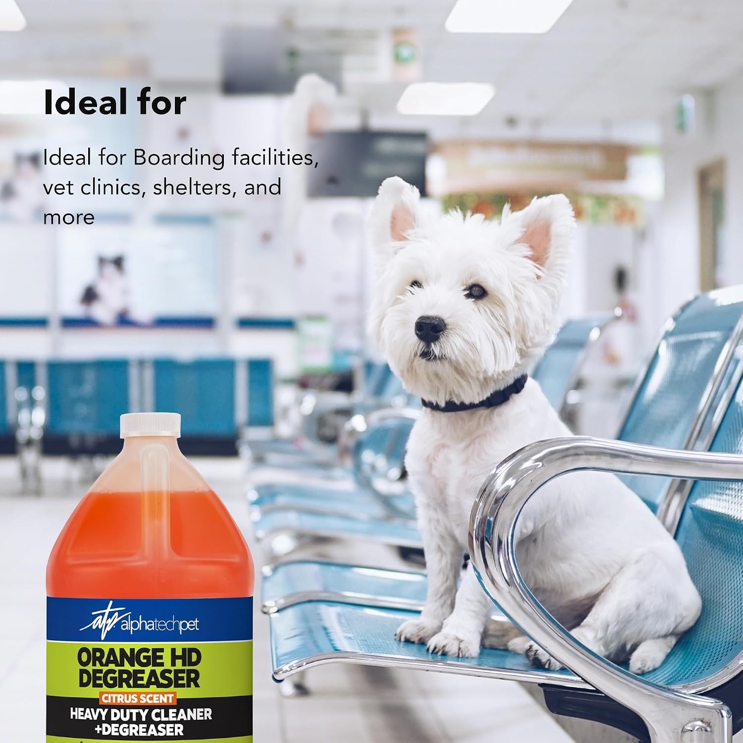 Citrus Heavy Duty Cleaner – Safe for Delicate Surfaces