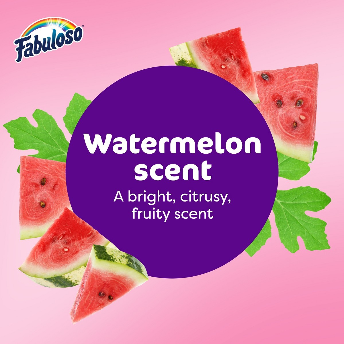 Watermelon Multi-Purpose Cleaner 2X Concentrated Formula Floor Cleaner – 56oz