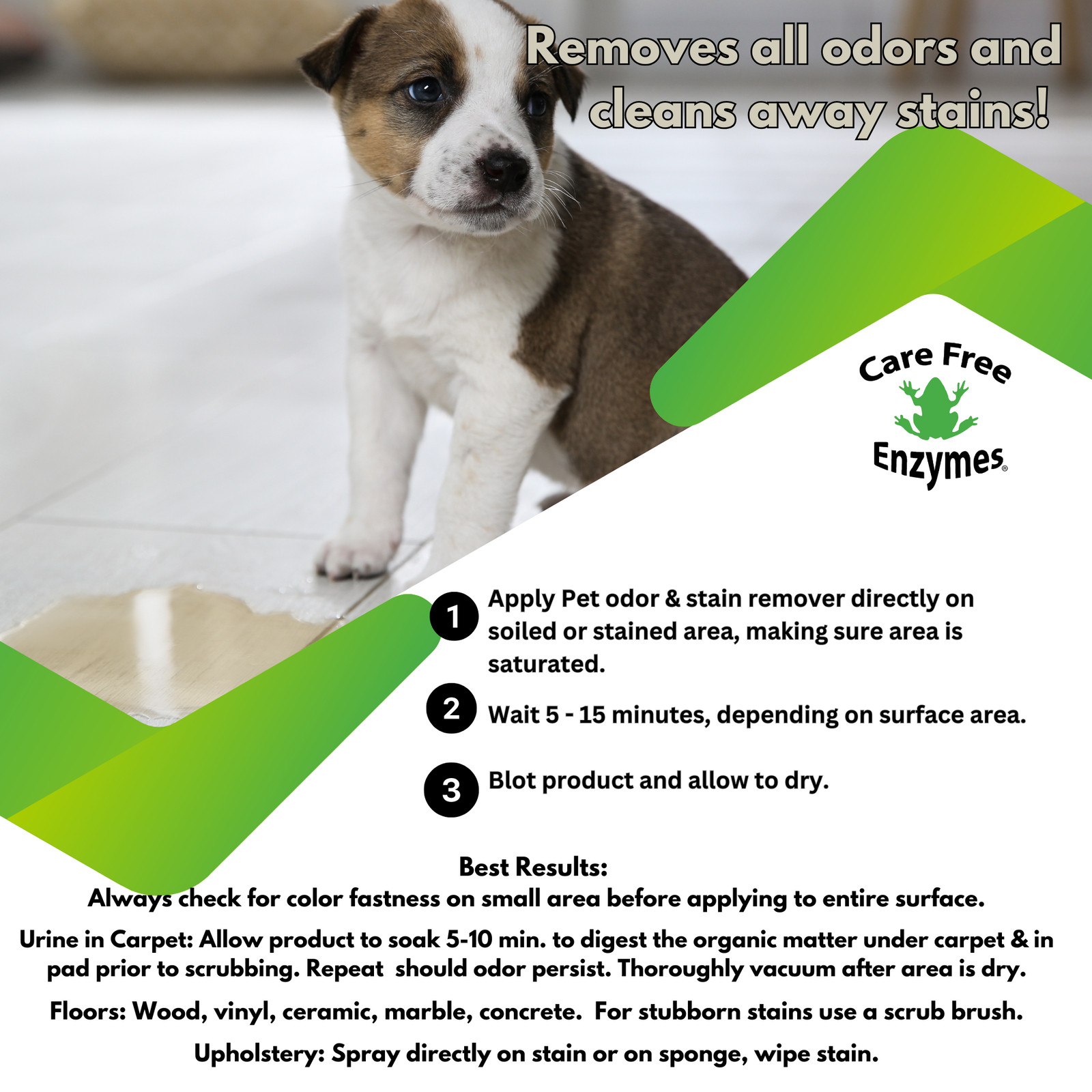 Enzyme Cleaner for Pet Stains & Odors | Urine & Stain Destroyer Spray | 16 oz &