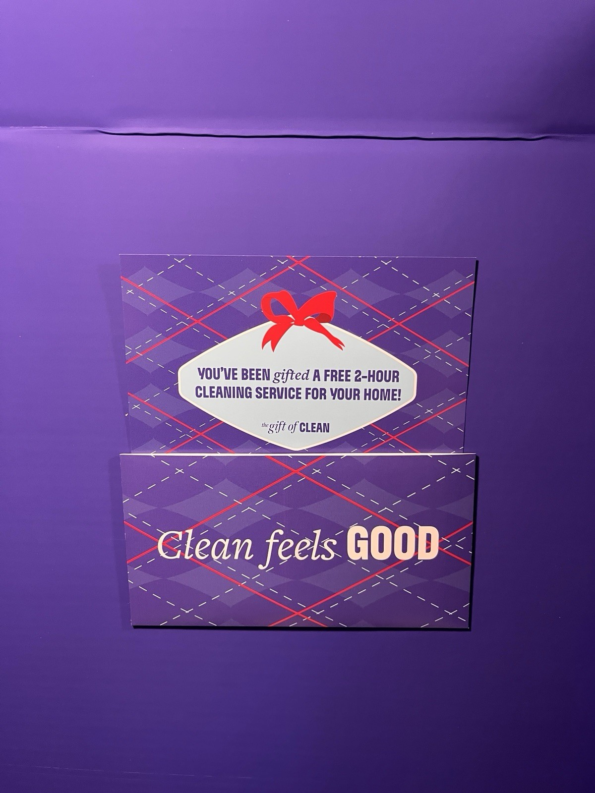 Clorox Gift To Clean- Free Two Hours Of Clean Limited Edition SHIPS TODAY