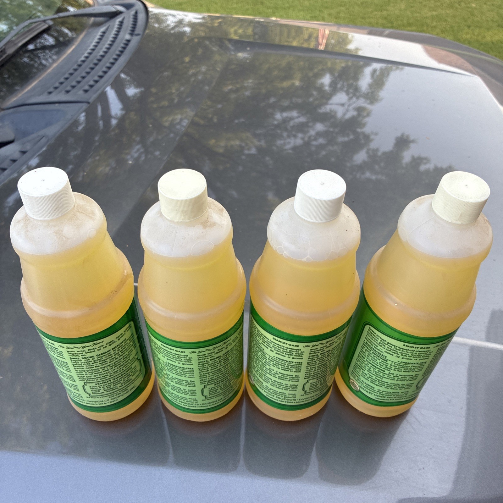 The Original Degreaser Stanley Home Products A3892- (Set of 4)