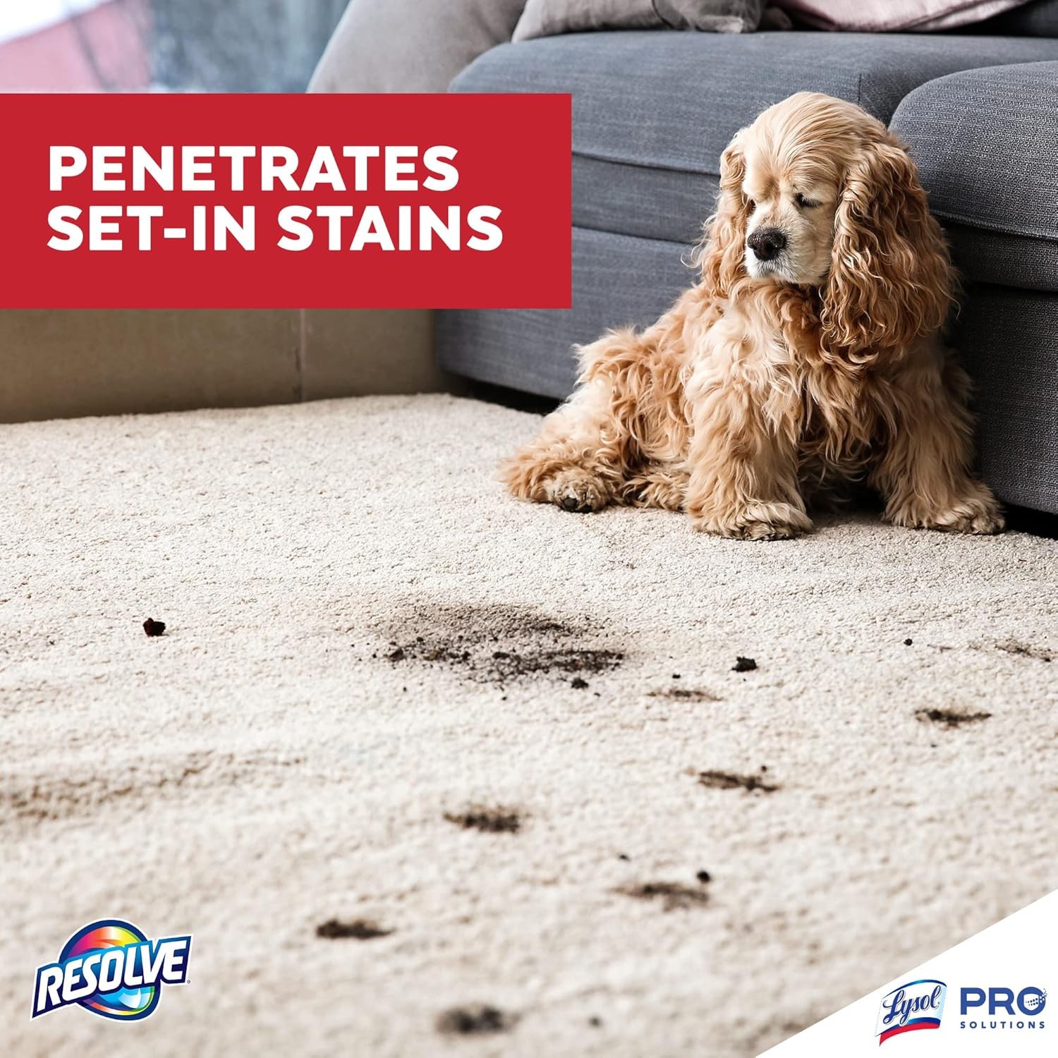 Resolve Professional Strength Spot and Stain Carpet Cleaner, Cleaner,…
