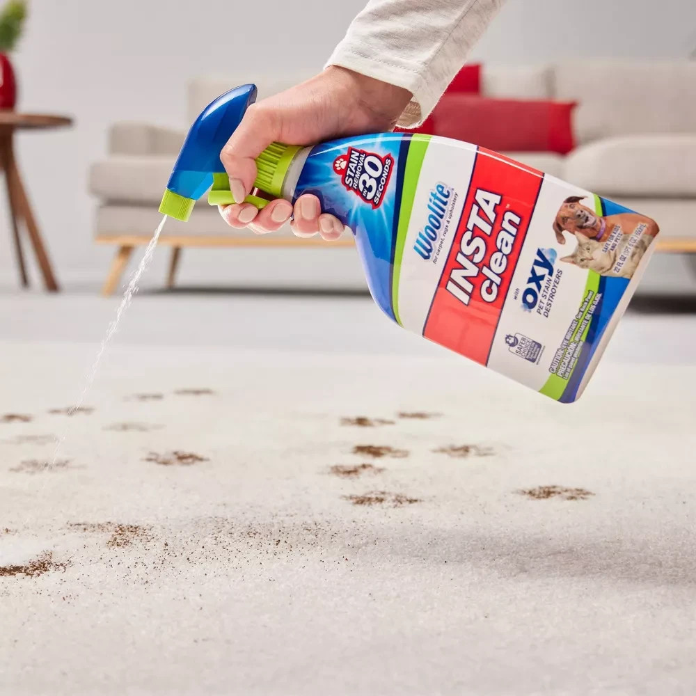 Woolite Instaclean w/Oxy Pet Stain Destroyers 22oz Spray Eliminates Odors – 2Pk