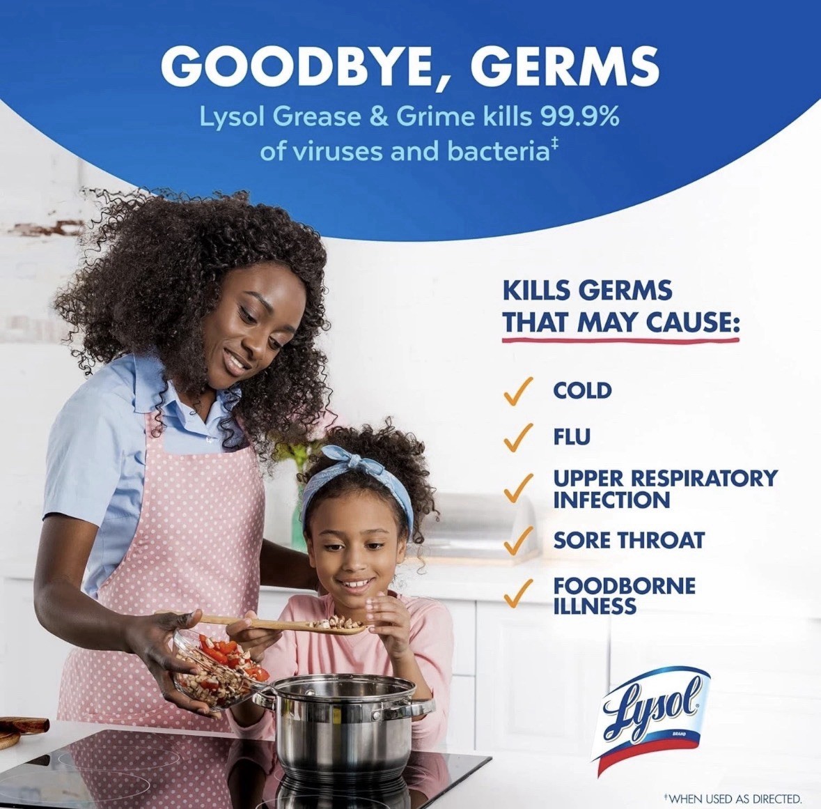 Lysol Pro Kitchen Spray Cleaner And Degreaser—All Purpose Cleaner—24 HOUR SHIP—