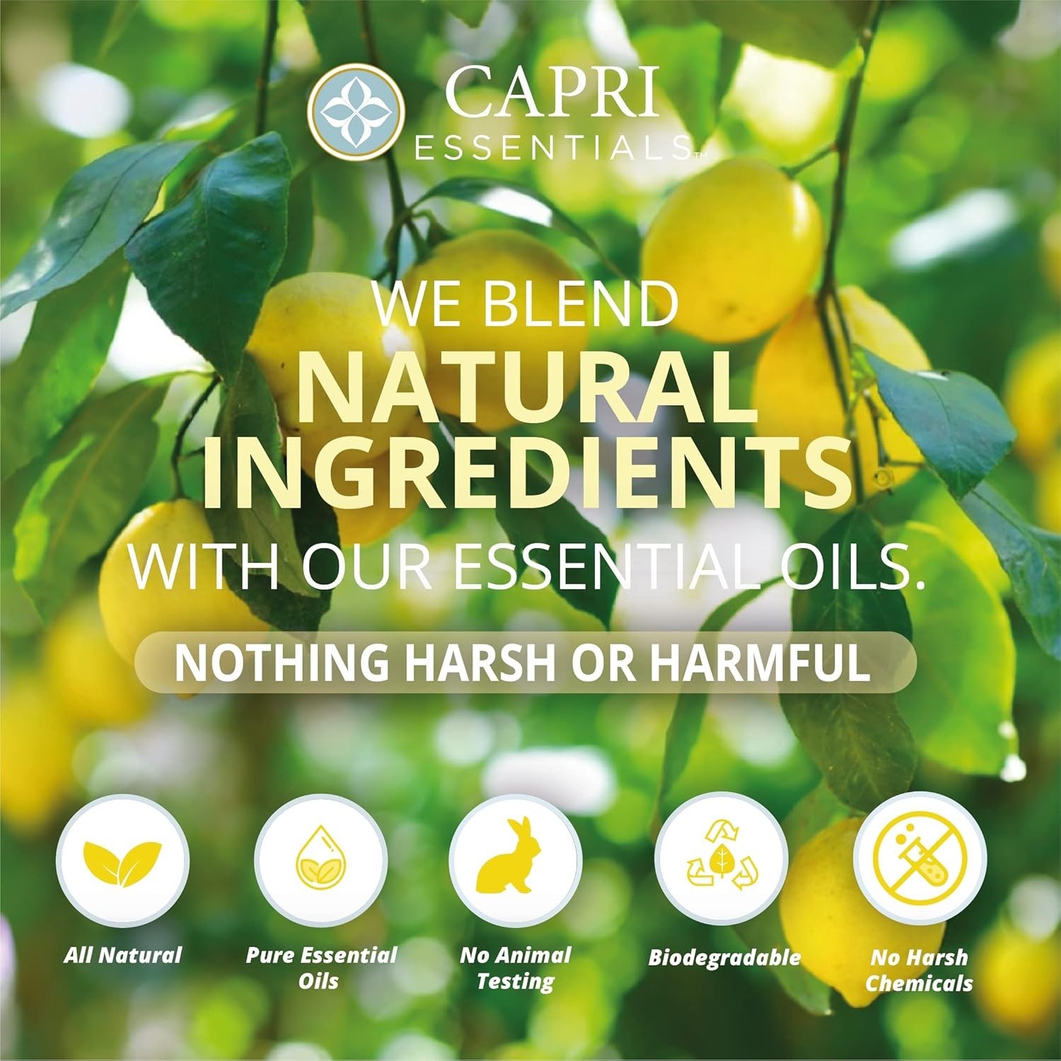 Natural Kitchen Surface Cleaner with Lemon Verbena – Safe for Mirrors and Glass