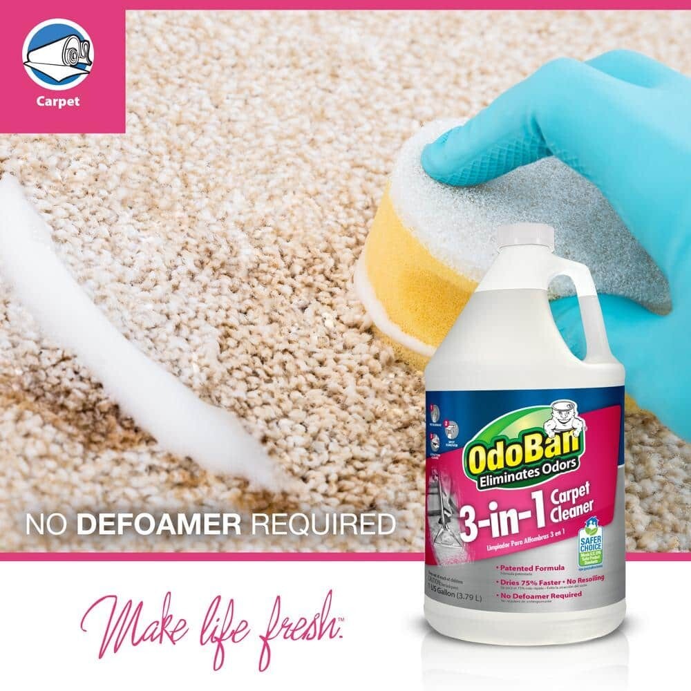 1 Gal. 3-in-1 Carpet Cleaner, Concentrated Carpet Cleaning Solution, EPA Safer C