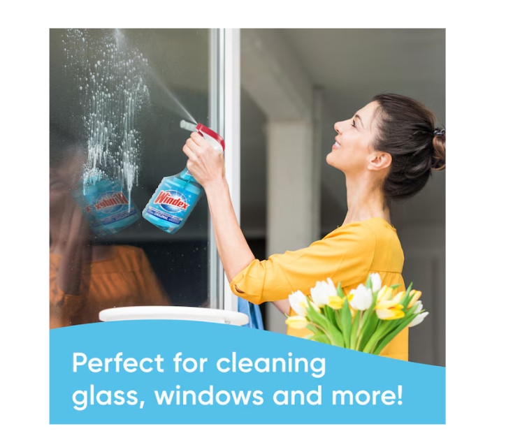Windex Original Commercial Line 128 -fl oz Pour bottle Glass Cleaner