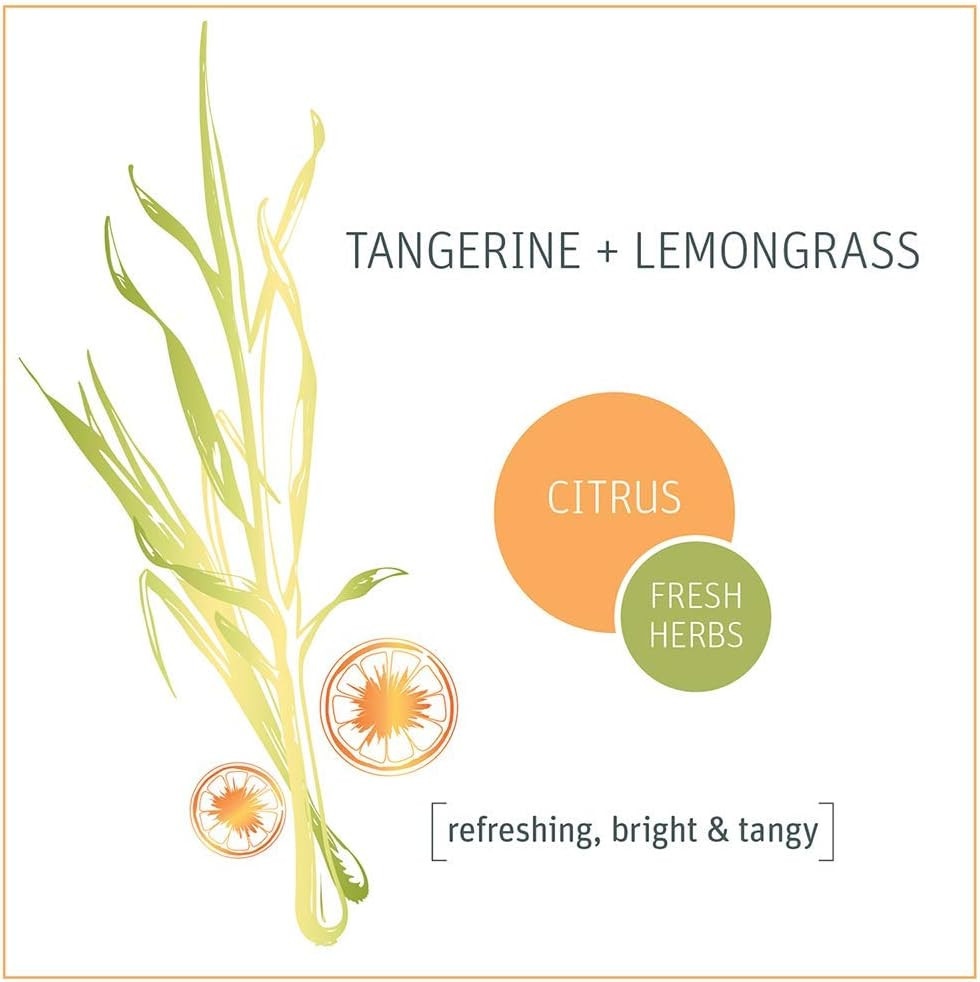 Grab Green Naturally-Derived, Tangerine with Lemongrass, 12 Pods (4-Pack), Miner