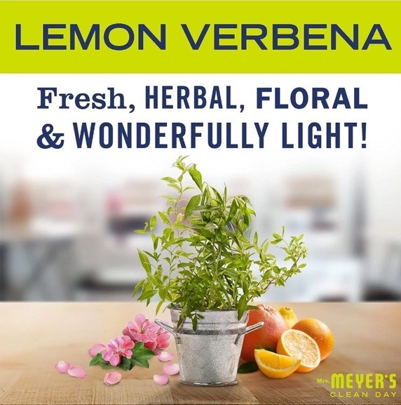 6 Pack – Mrs Meyers Clean Day Multi Surface Cleaner Lemon Verbena 16 Fl Oz