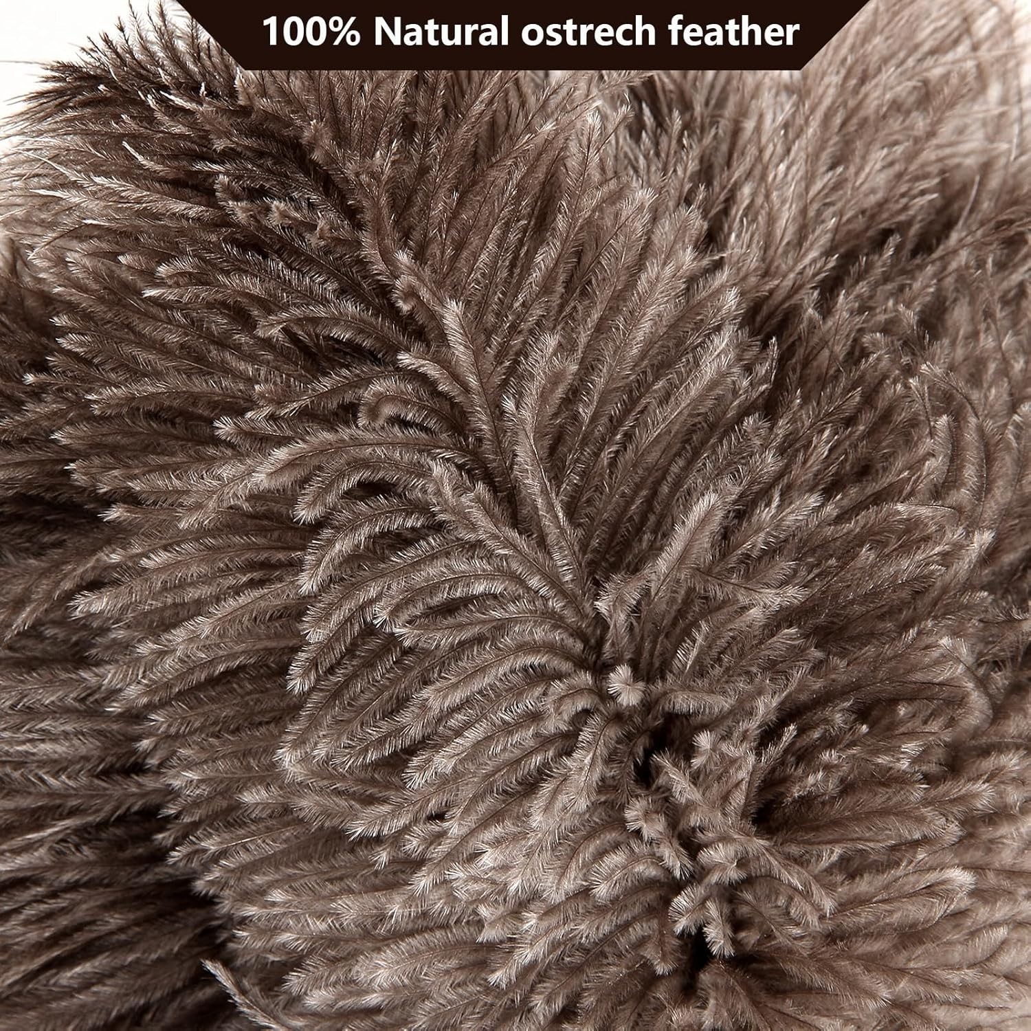 Ostrich Feather Duster 2pcs Natural Feathers with Wooden Handle for Cleaning