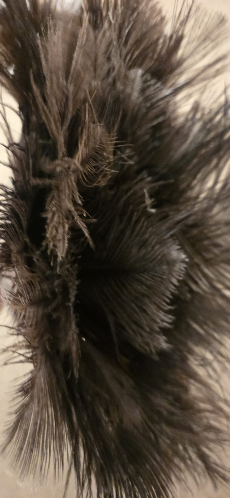 13″ Ostrich Feather Duster Durable Dust Collecting Cleaning Tool In Wool Shop^^