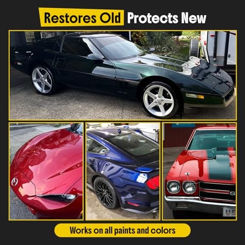 Carfidant Paint Scratch Repair Kit