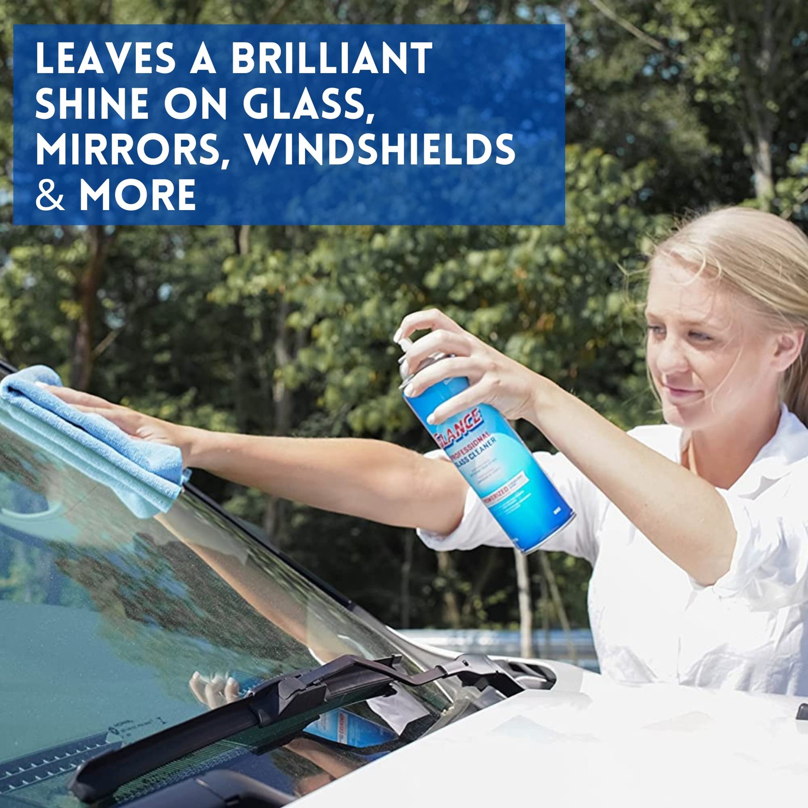 Powerized Professional Glass Cleaner, 19 Oz 101109731