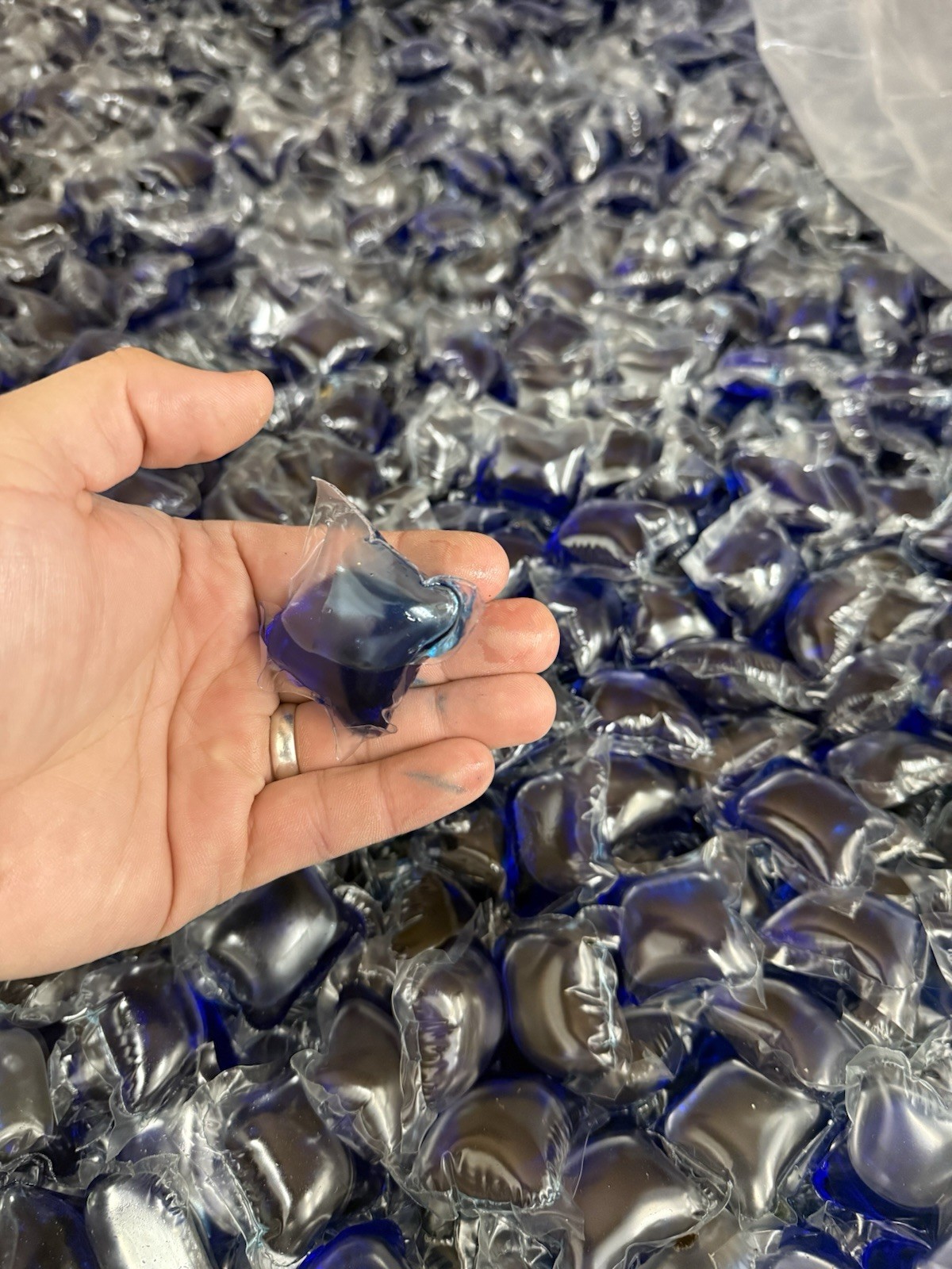 Case Of Blue Laundry Pacs (Approx. 700 Ct.)