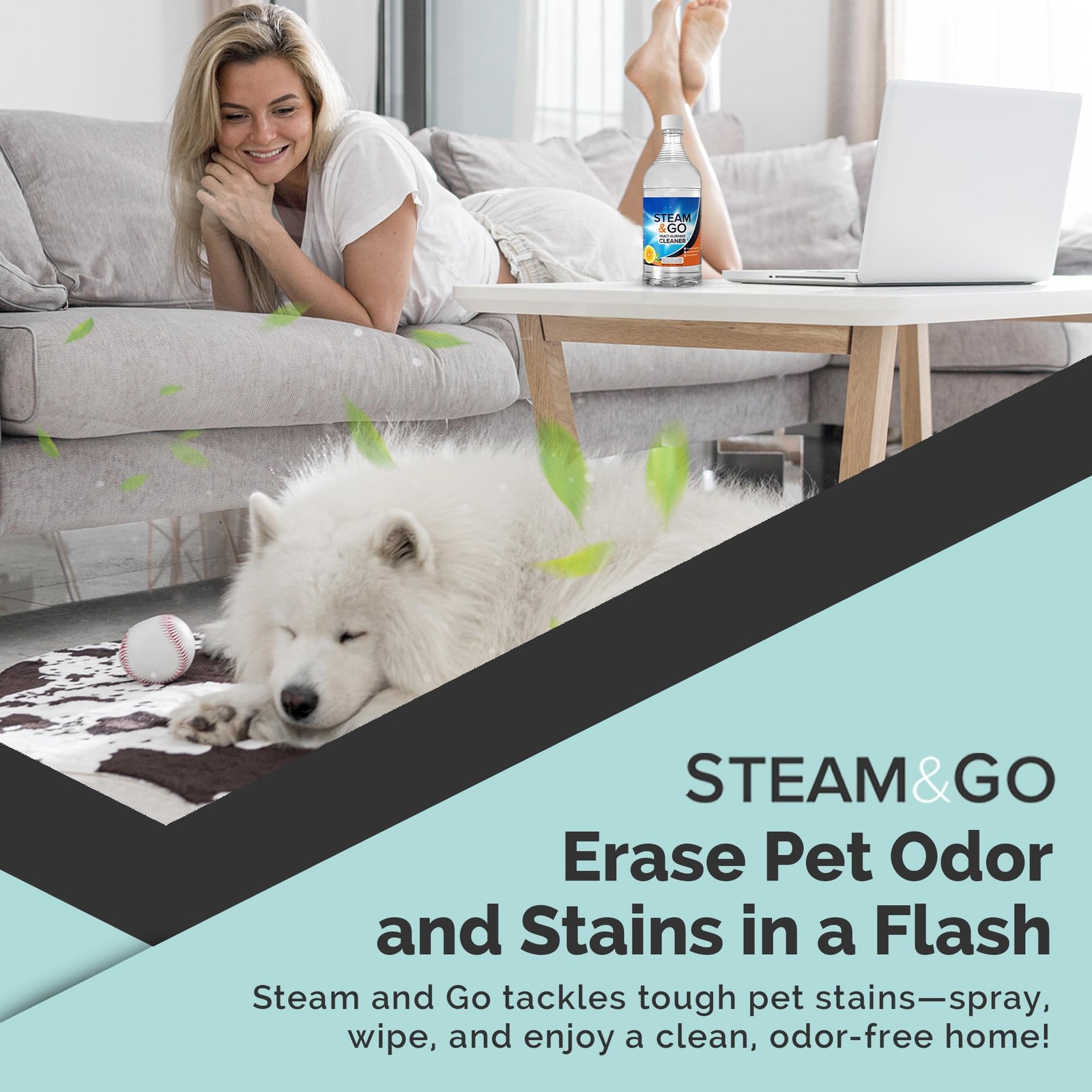 Steam & Go Multi-Purpose Cleaner Spray with Oxy Power for Multi-Surfaces – Re…
