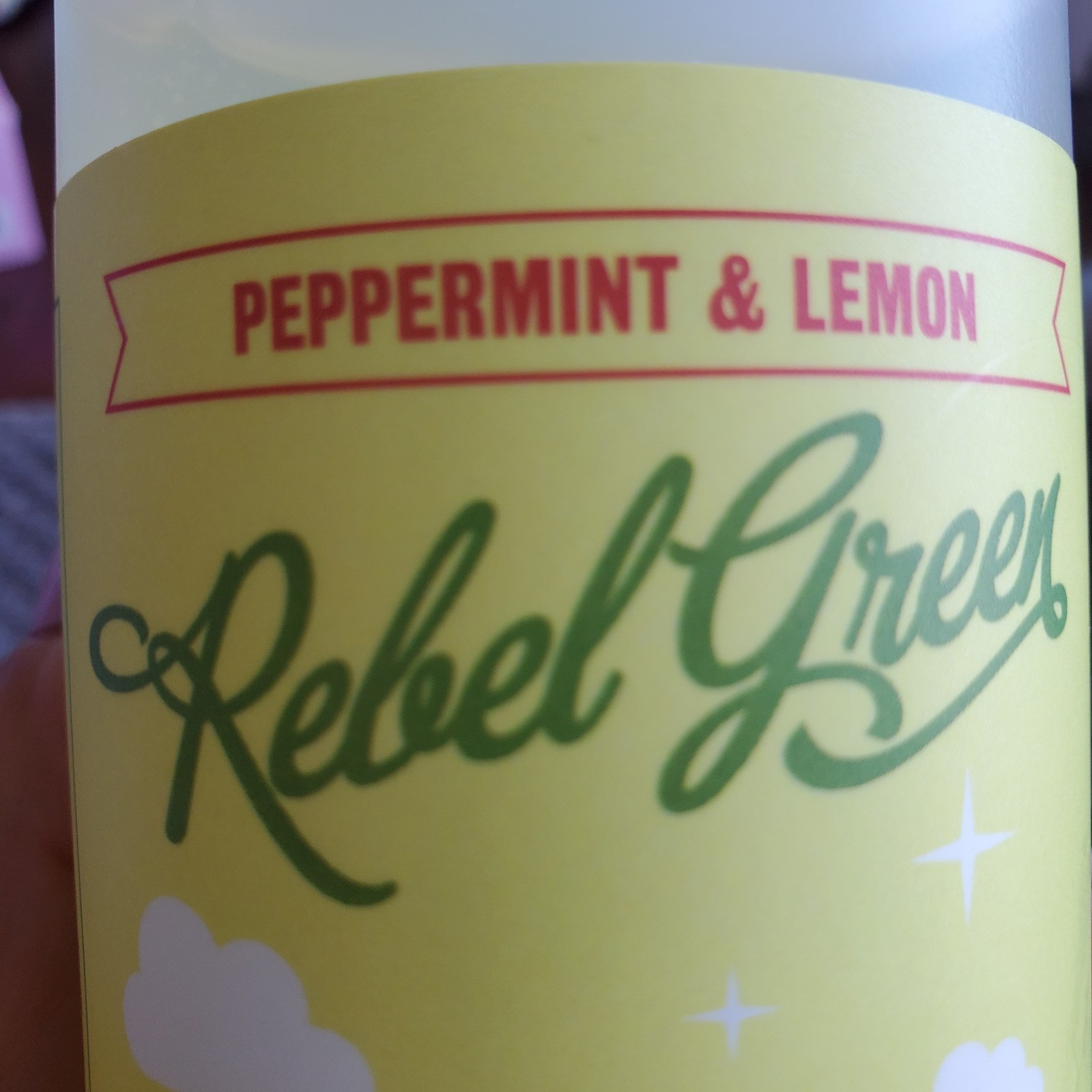 Rebel Green Dish Soap Peppermint Lemon 16 Oz. Sulfate Free Vegan