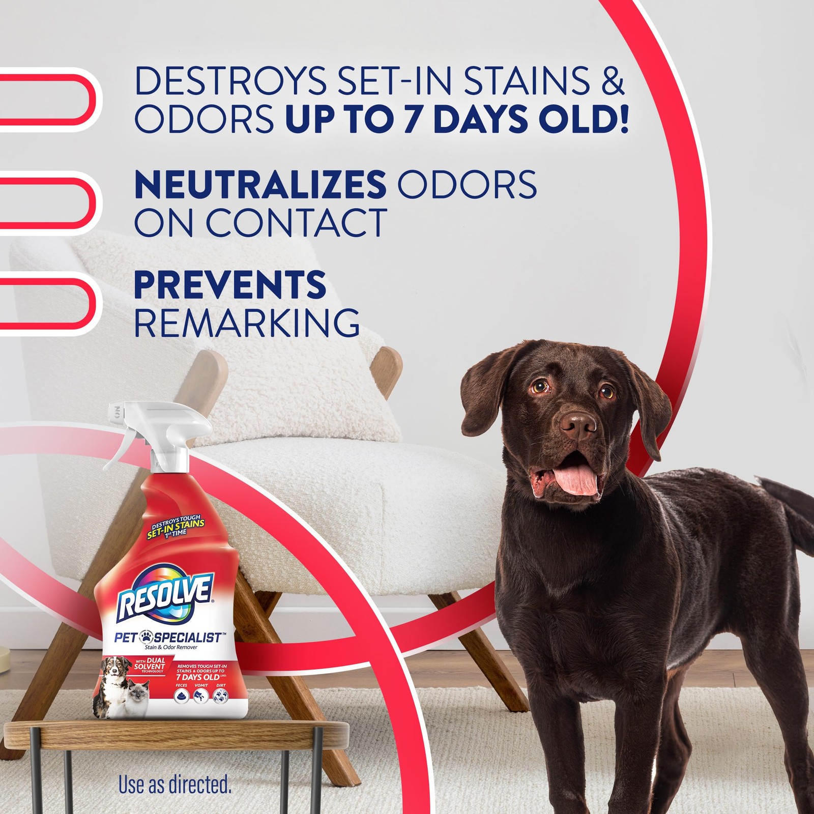 Pet Specialist Stain & Odor Remover Spray – Pet Stain and Odor Remover, Carpe…