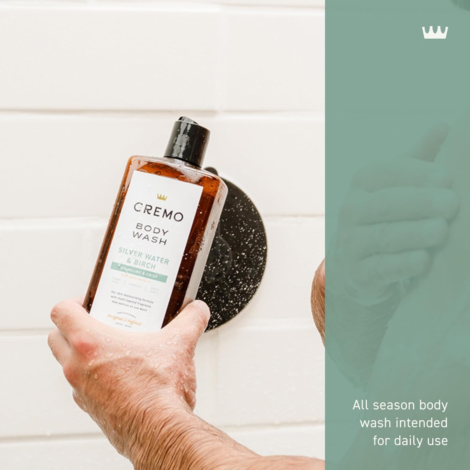 Body Wash for Men, Rich-Lathering Silver Water & Birch, 16 Fl Oz