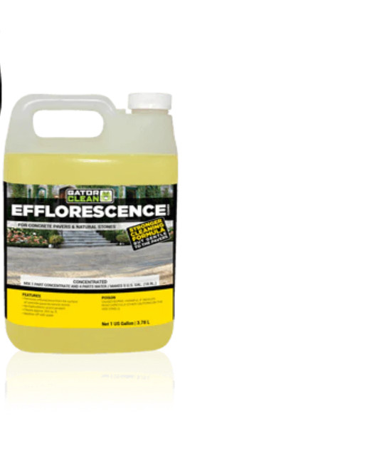 Alliance Gator Clean Efflorescence Cleaner for Pavers & Natural Stone 1 Gallon