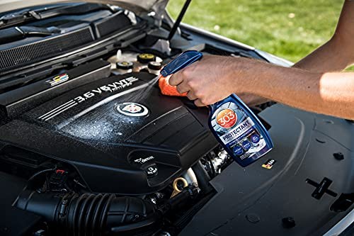 303 Products Automotive Protectant Spray, UV Protection for Interior & Exterior