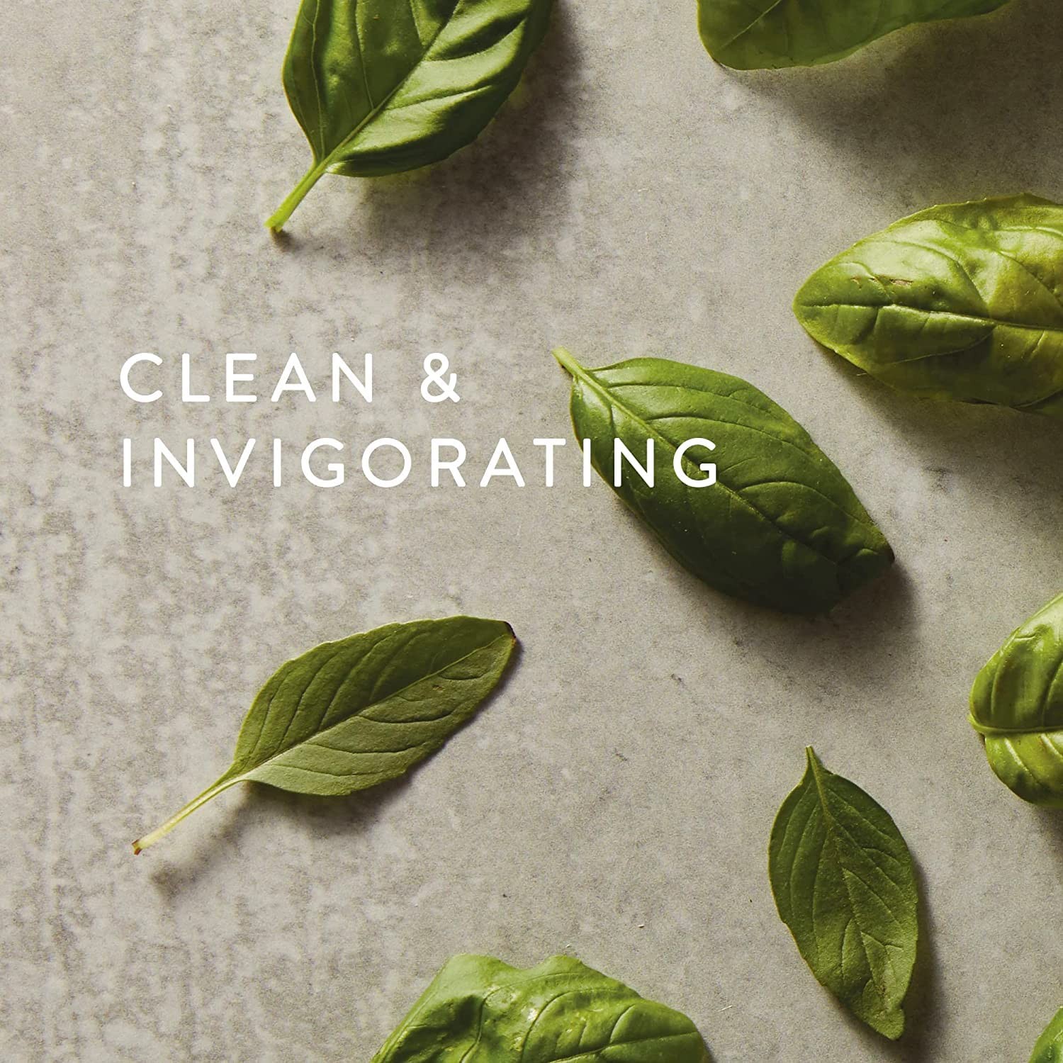 Countertop Spray – Counter Cleaner Spray – Household Cleaning Supplies (Fresh…