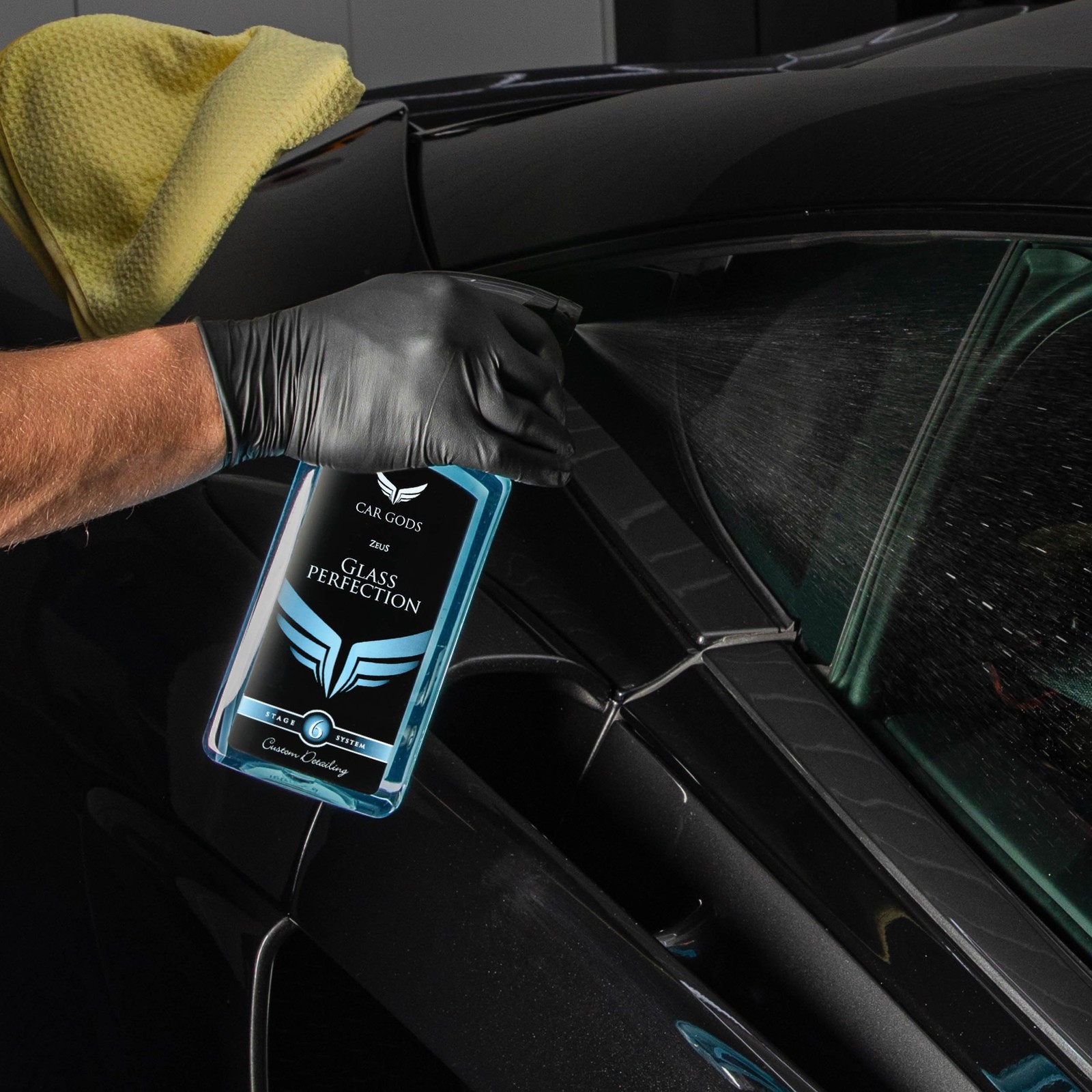Streak-Free Quick Action Perfect Clarity Glass Cleaner Spray, 17 Fl Oz