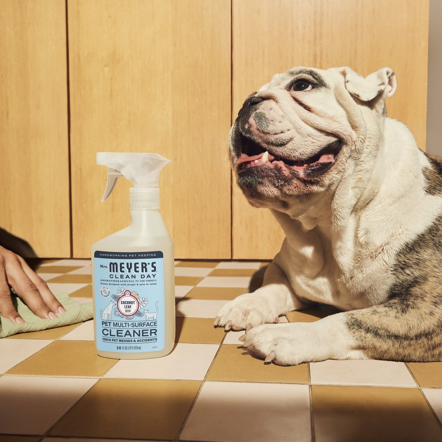 Pet Multi Surface Cleaner Clean Day Coconut Leaf Scent 16 Oz Durable Formula