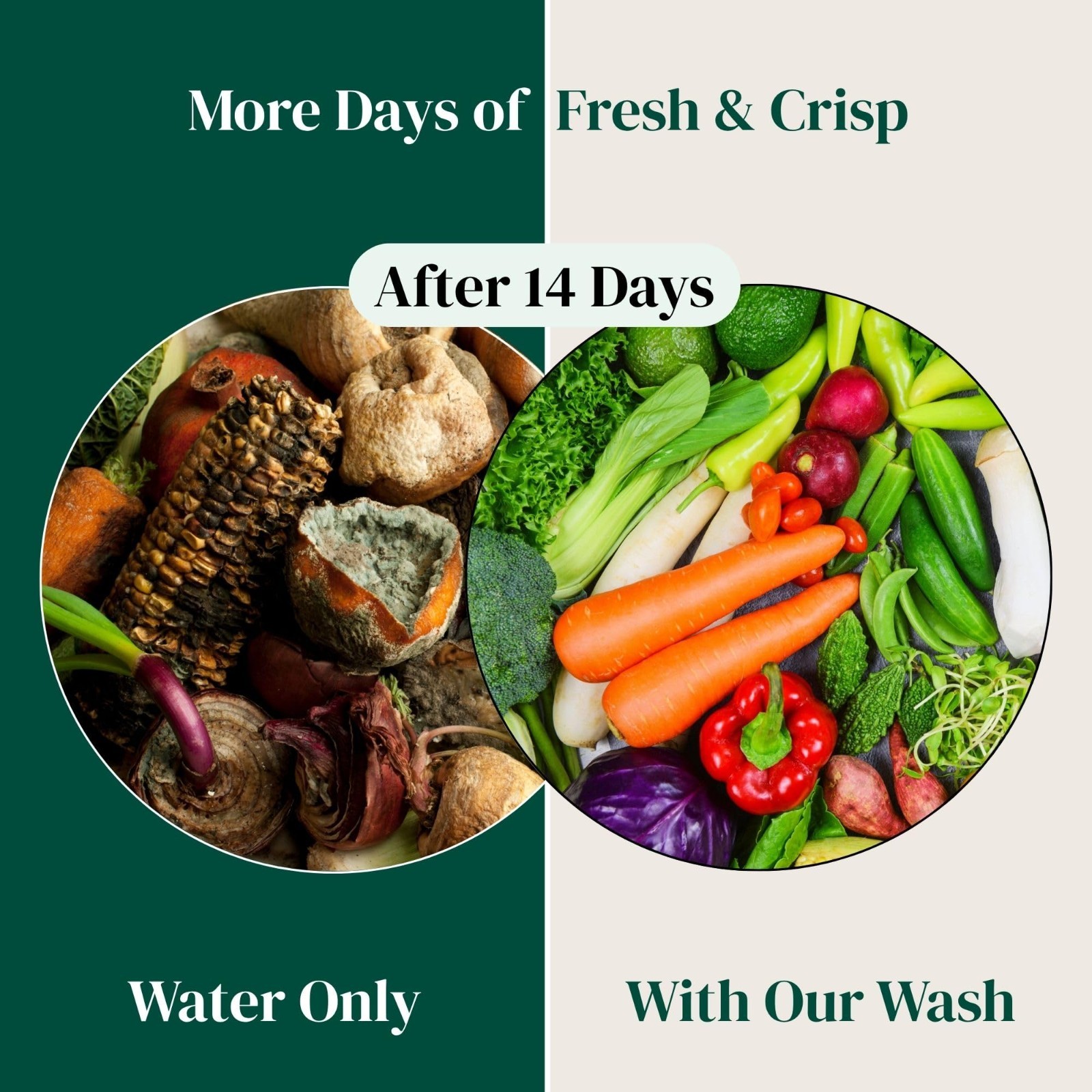 Fruit & Vegetable Wash Powder – Natural Produce Cleaner – Removes Dirt & Residue