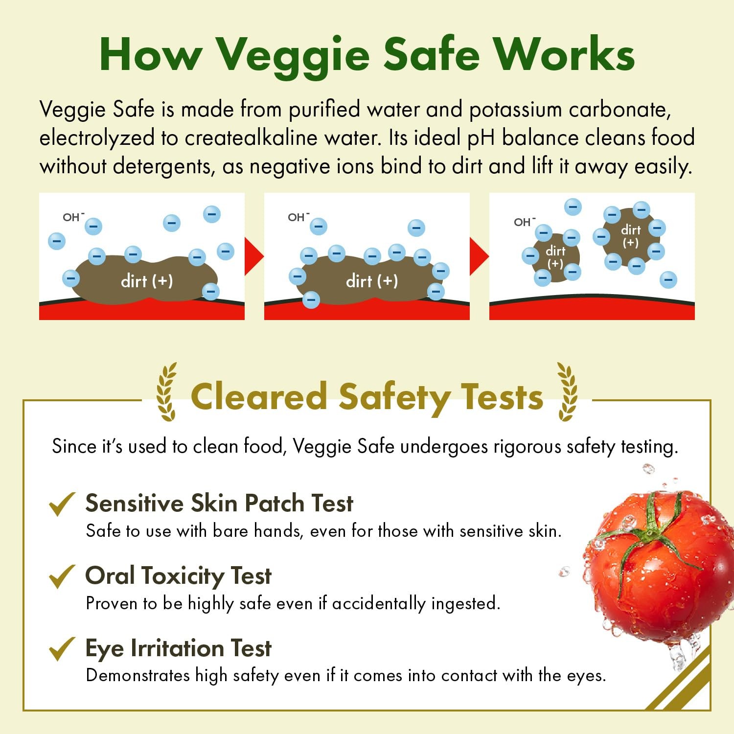 Veggie Fresh Food Cleaning / Deluxe Set【400ml (13.5 fl oz) Spray Bottle + 4L