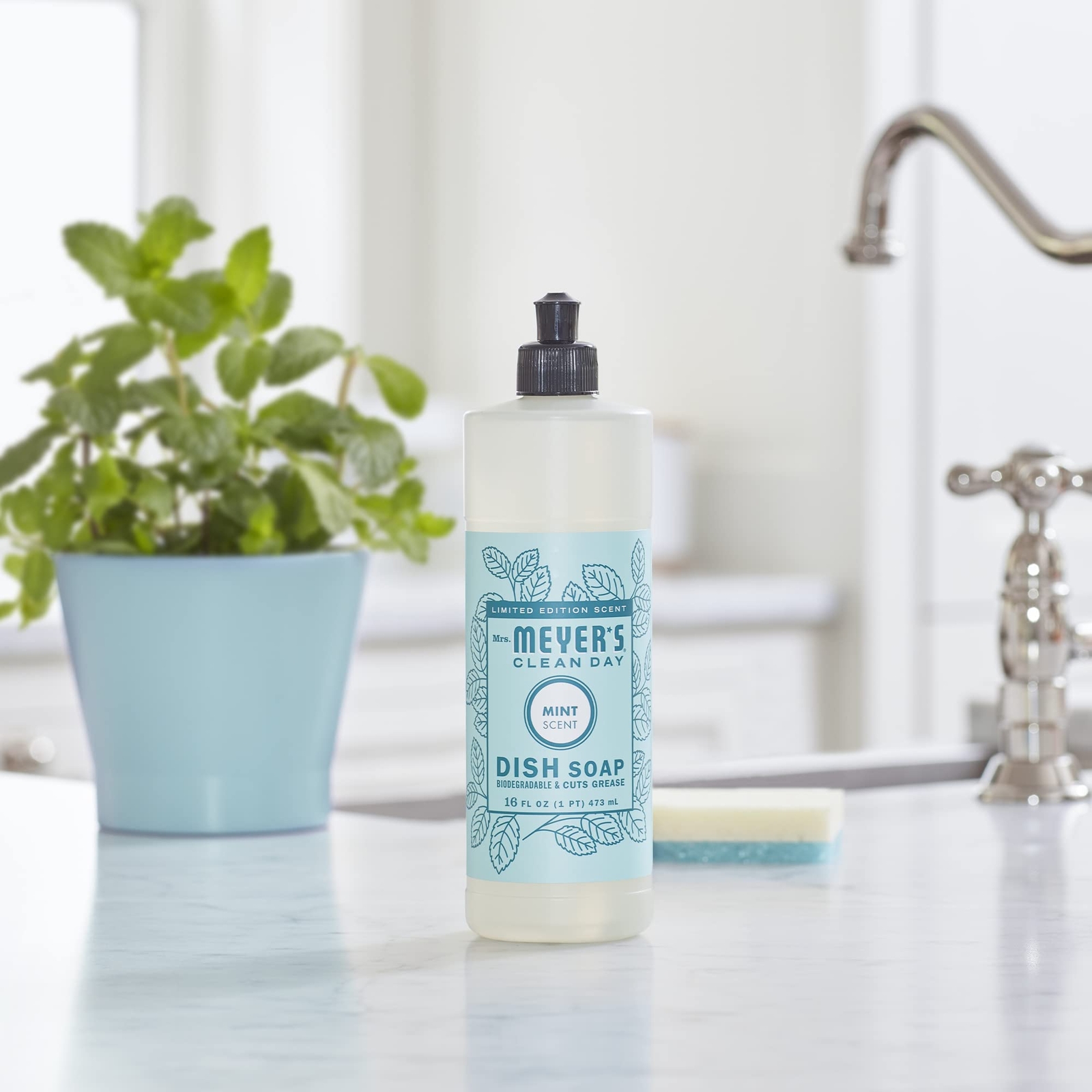 Mrs Meyer’s Clean Day Mint Dish Soap 16 Fl Oz Pack of 3 Plant Based Grease Cu…