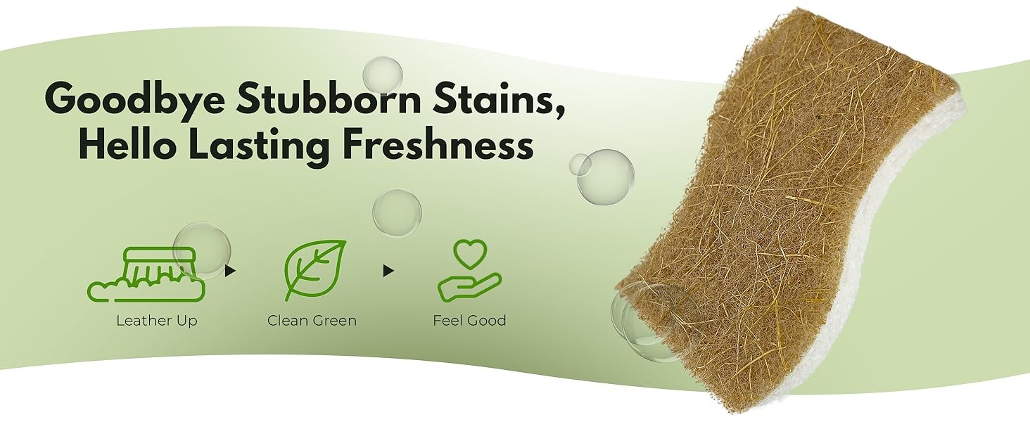 Natural Kitchen Sponges (12 Pack) – Biodegradable Cellulose & Coconut Scrubber