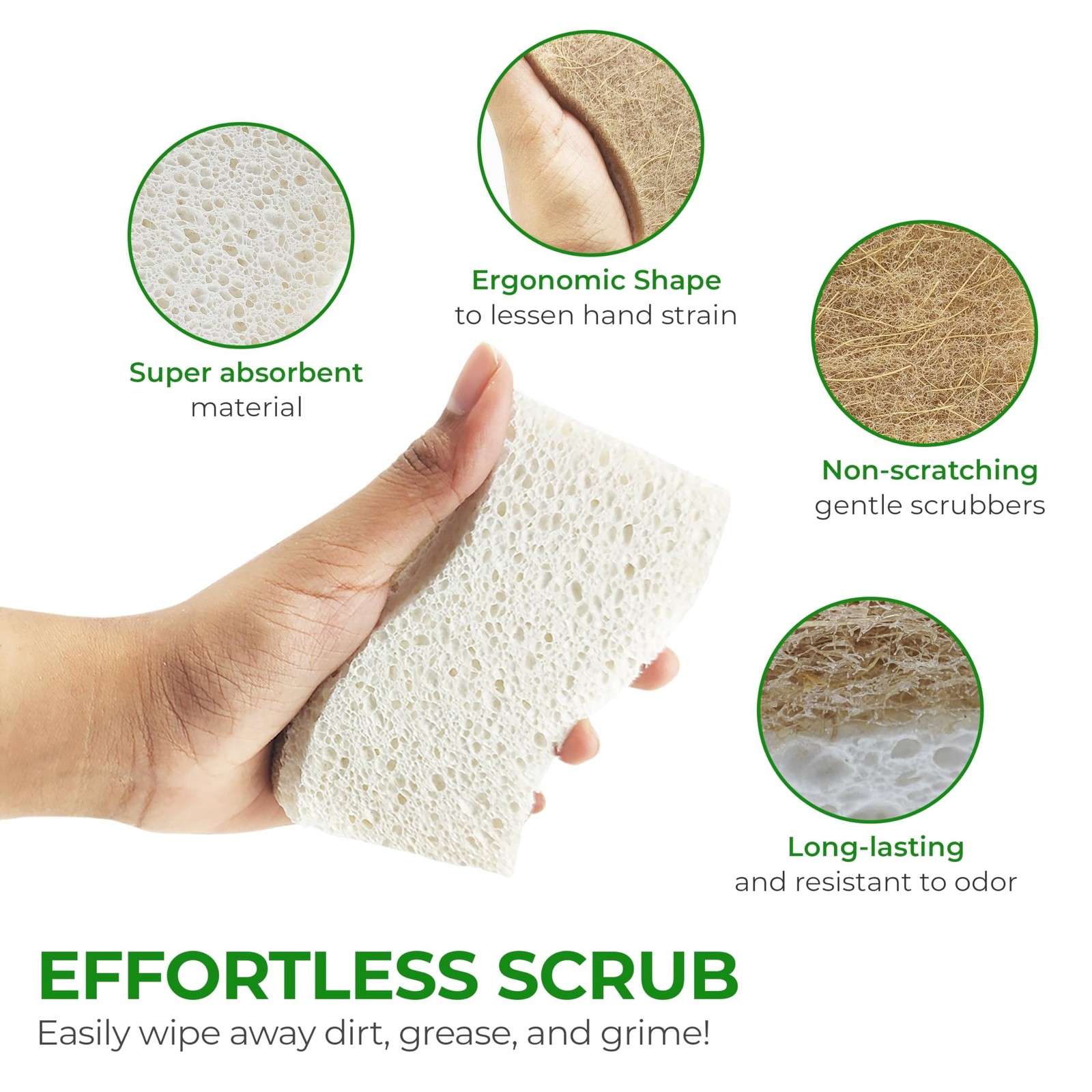 AIRNEX Natural Kitchen Sponges (12 Pack) – Biodegradable Cellulose & Coconut …
