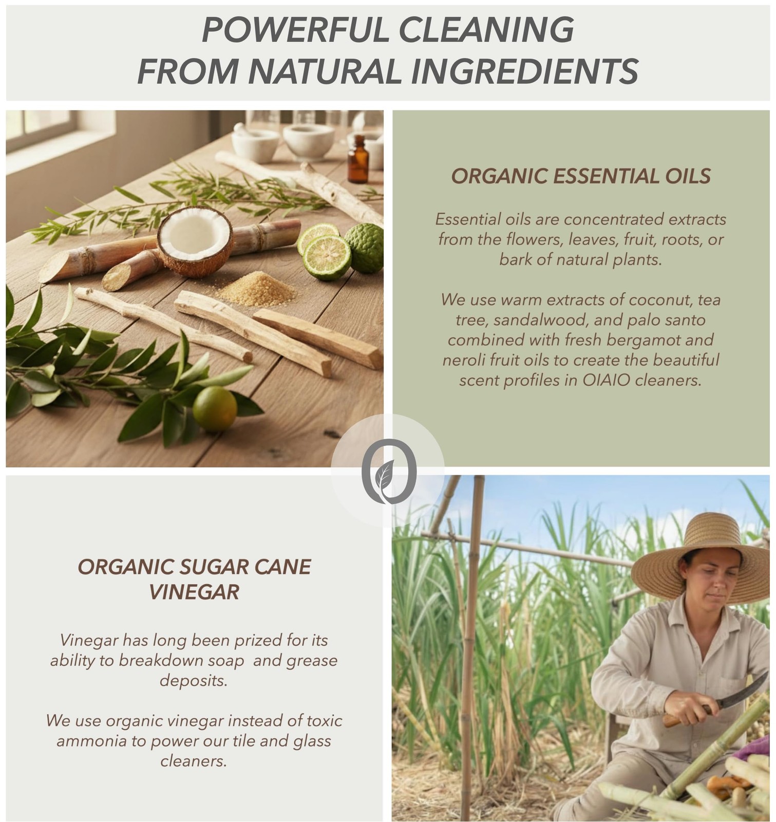 Non-Toxic Glass Cleaner – Natural Organic Ingredients that Truly Perform – 24…
