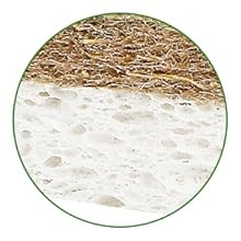 10 Pack Biodegradable Natural Sponges Kitchen – Compostable Cellulose and