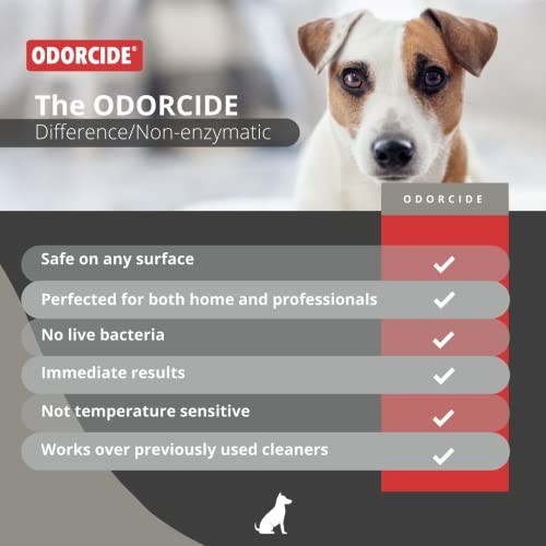 Odor Eliminator Spray – Original Scent, Half Gallon Size, Pet Safe, Long-Lasting