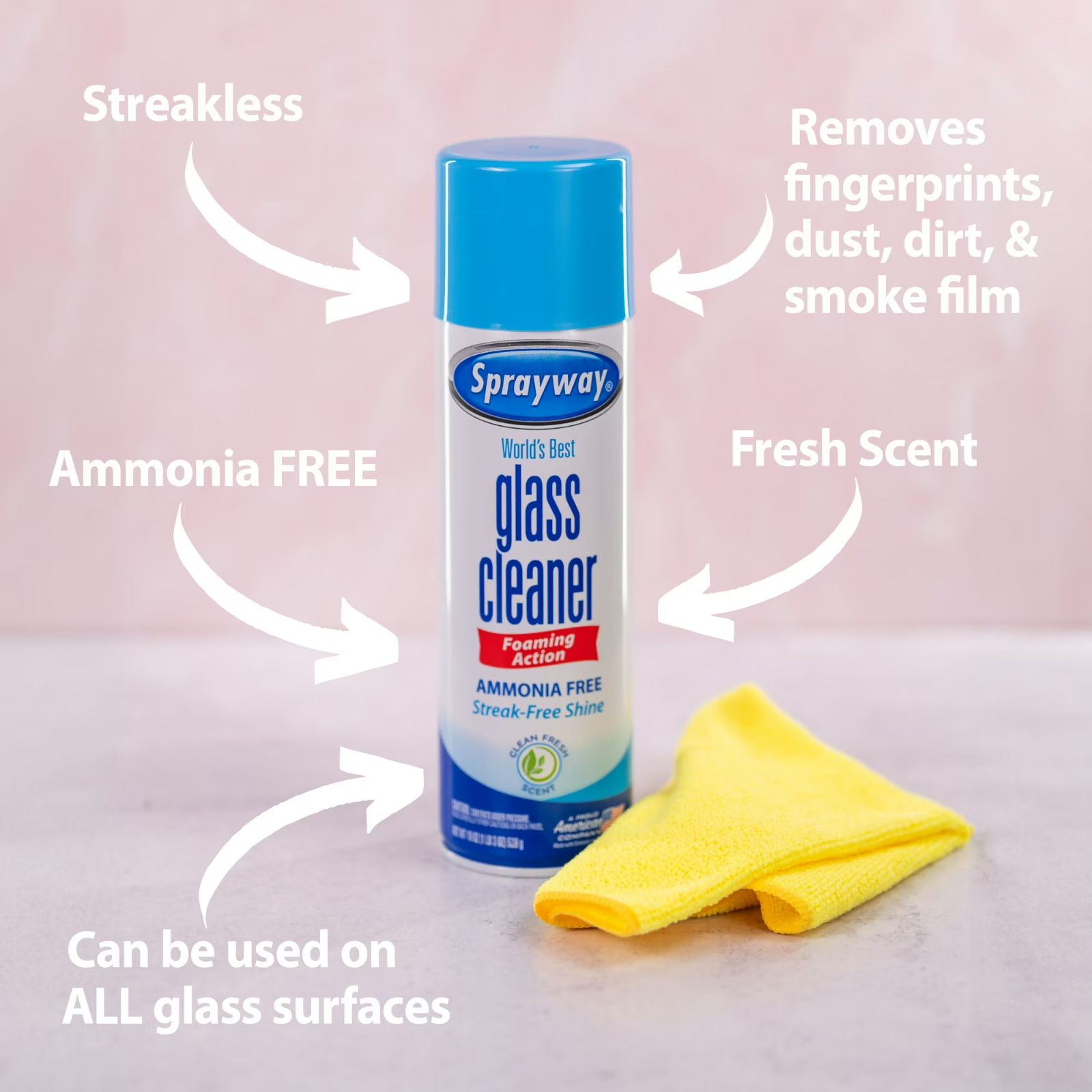 Sprayway Glass Cleaner 19oz Ammonia Free Streak Free Window Mirror Spray Foam