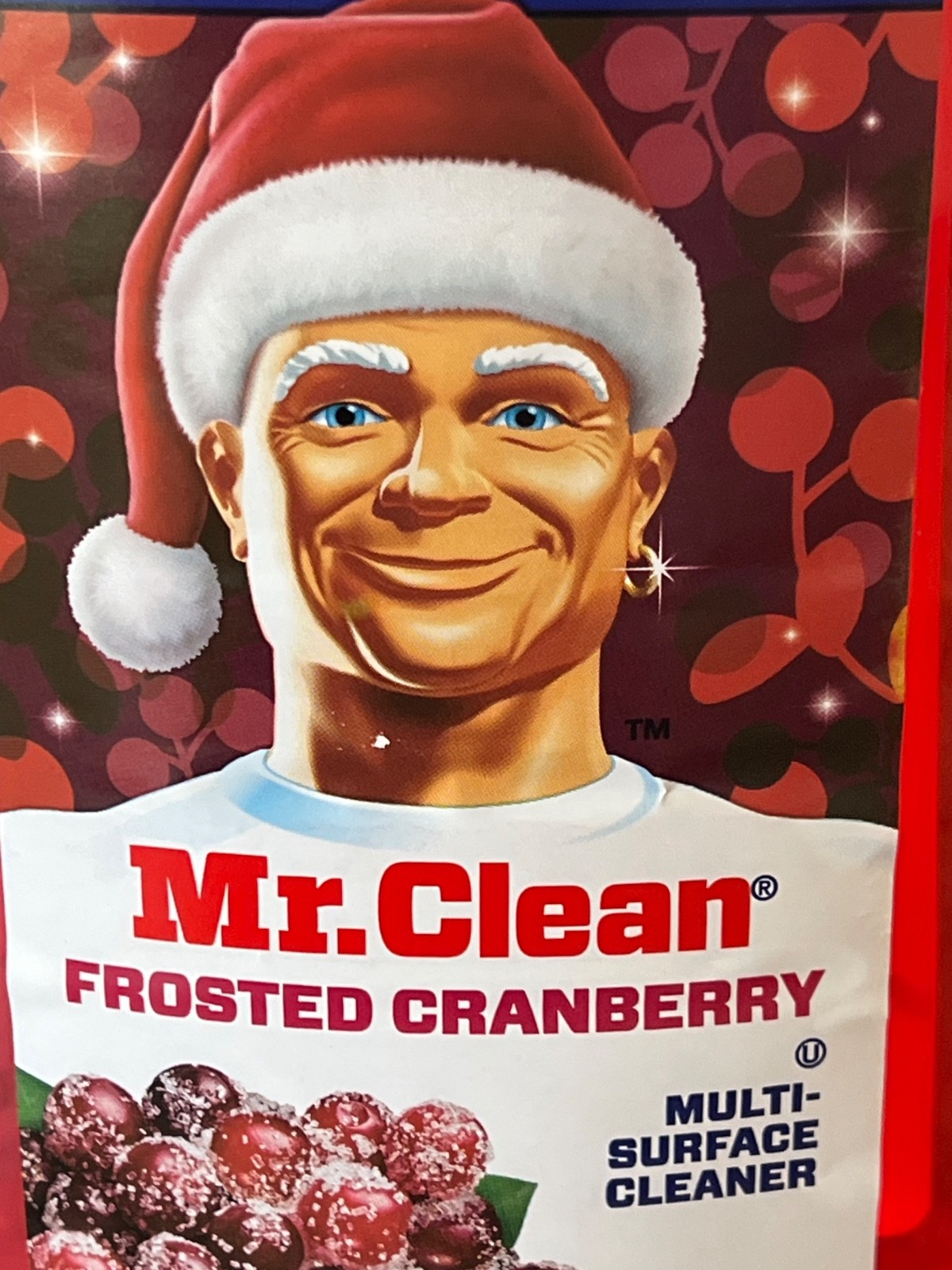 Mr Clean Santa Christmas Frosted Cranberry Multi-Surface Cleaner 41 Oz NEW