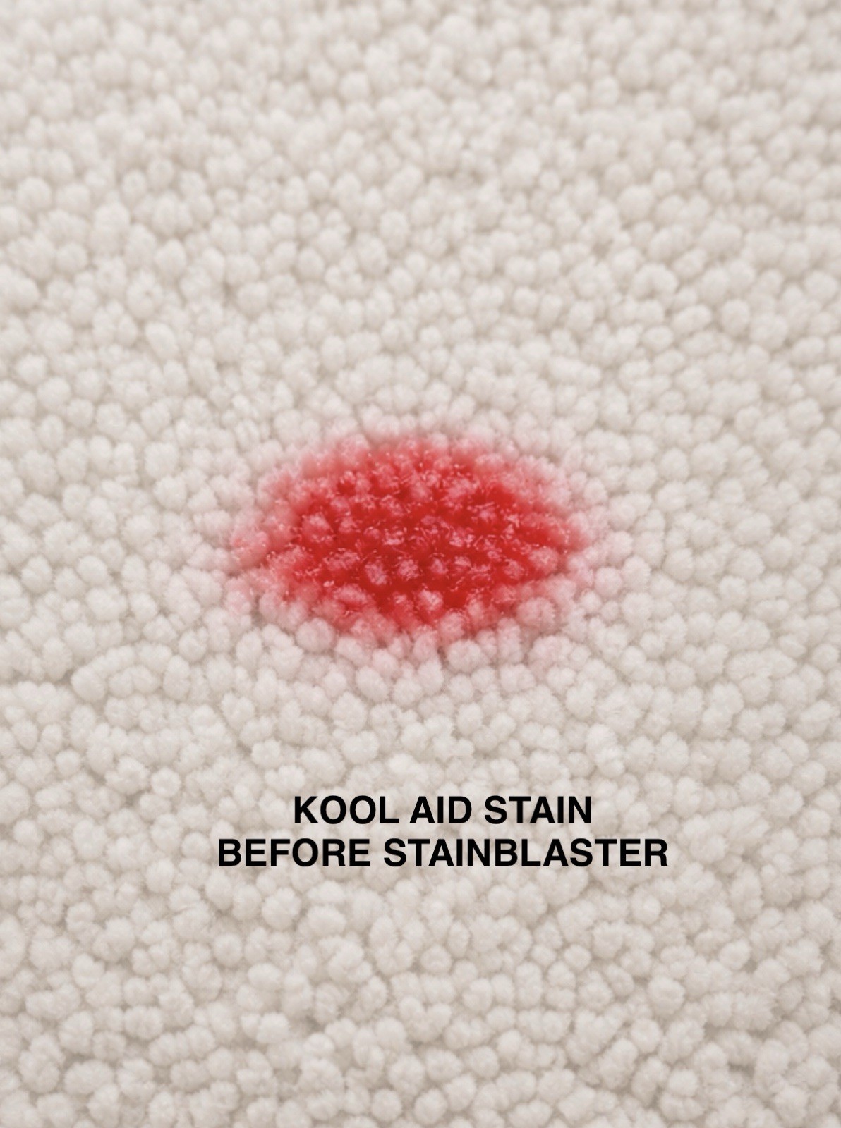 2 STAINBLASTER Non-Toxic, Child & Pet Safe Carpet, Upholstery, Clothes Cleaner