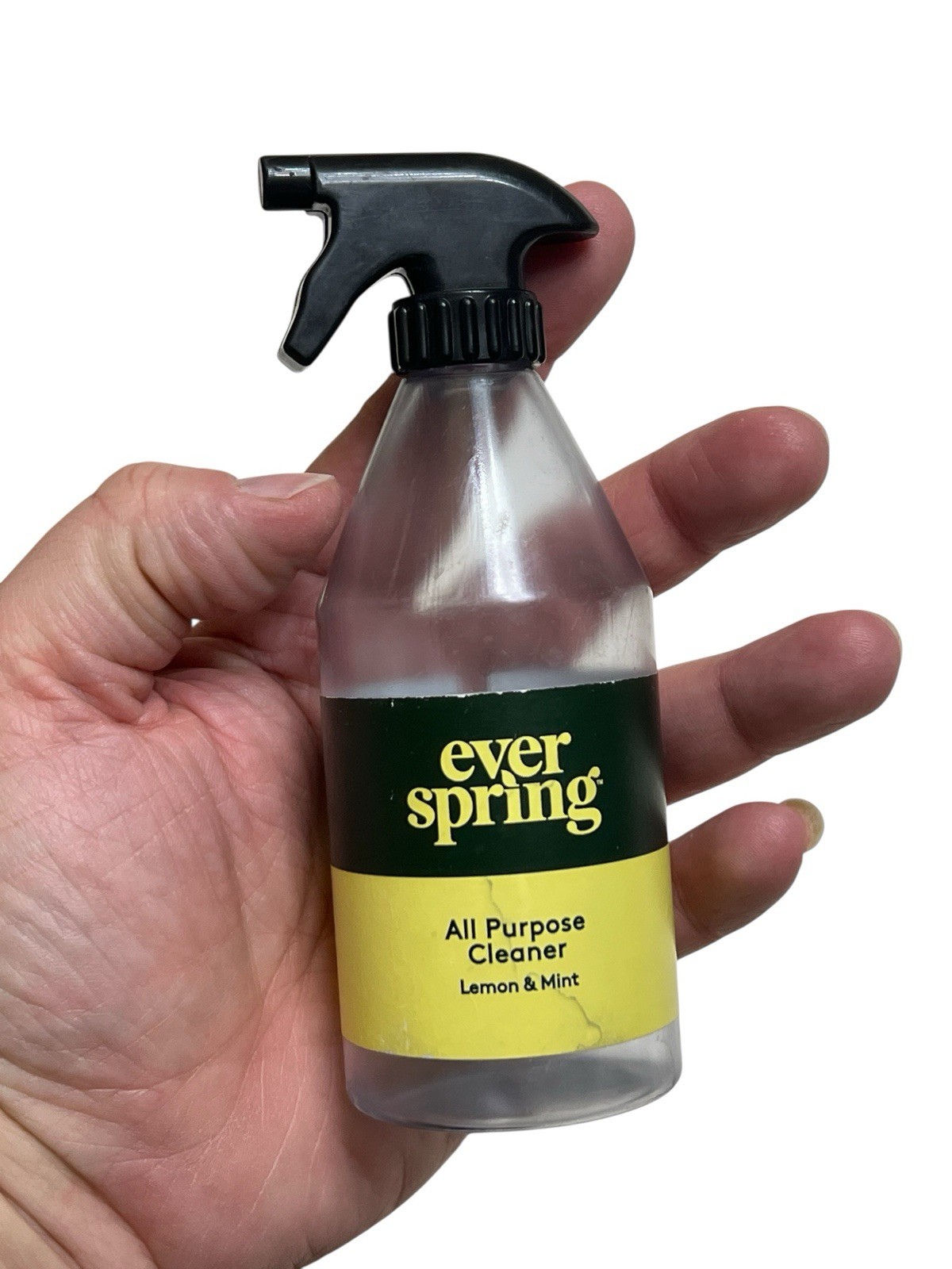 Ever spring all purpose cleaner replacement target kids toy