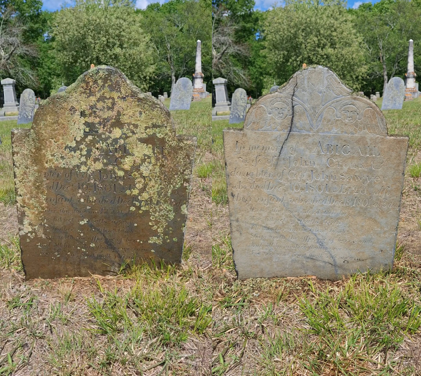 Endurance Gravestone & Monument Cleaner – 4 Gallon Case