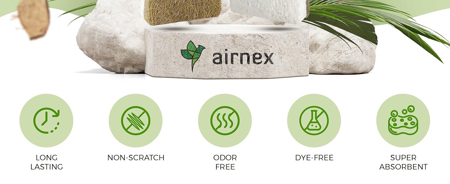 10 Pack Biodegradable Natural Kitchen Sponge – Compostable Cellulose and Coconut