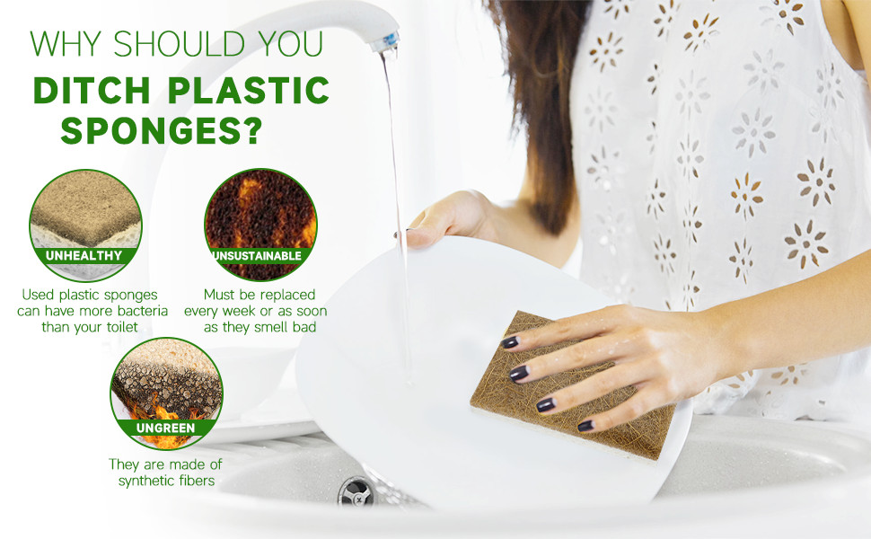 10 Pack Biodegradable Natural Sponges Kitchen – Compostable Cellulose and