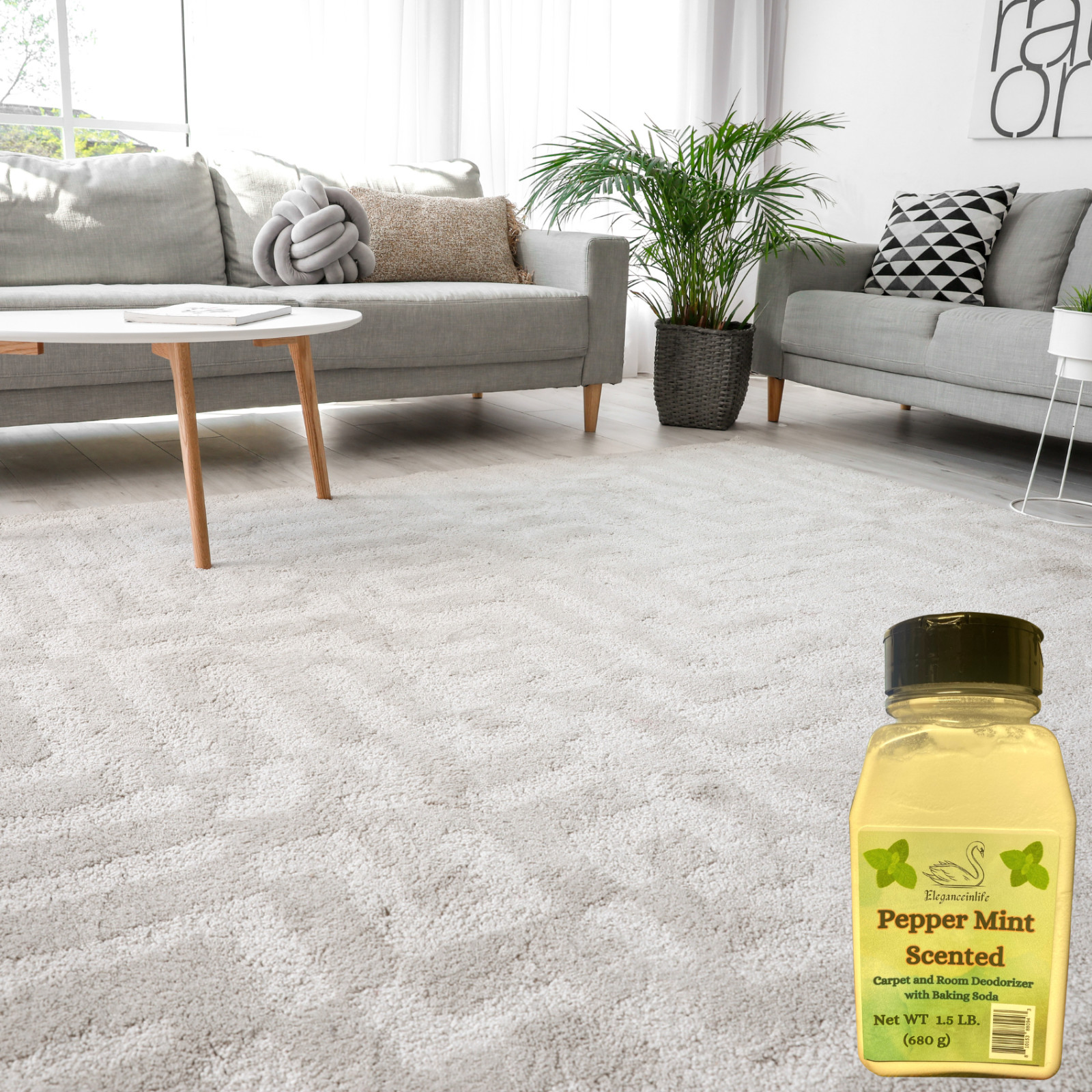 Peppermint Scented Carpet and Room Deodorizer with Baking Soda 1.5 LB 680g-2pk