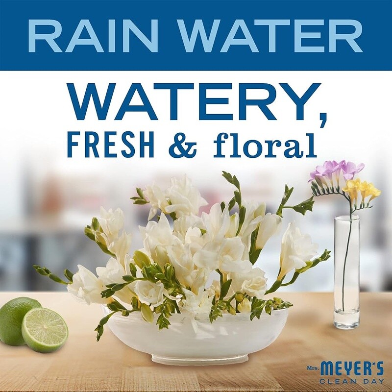 Biodegradable Liquid Dish Soap Rain Water Scent Cruelty Free Eco-Friendly 16oz
