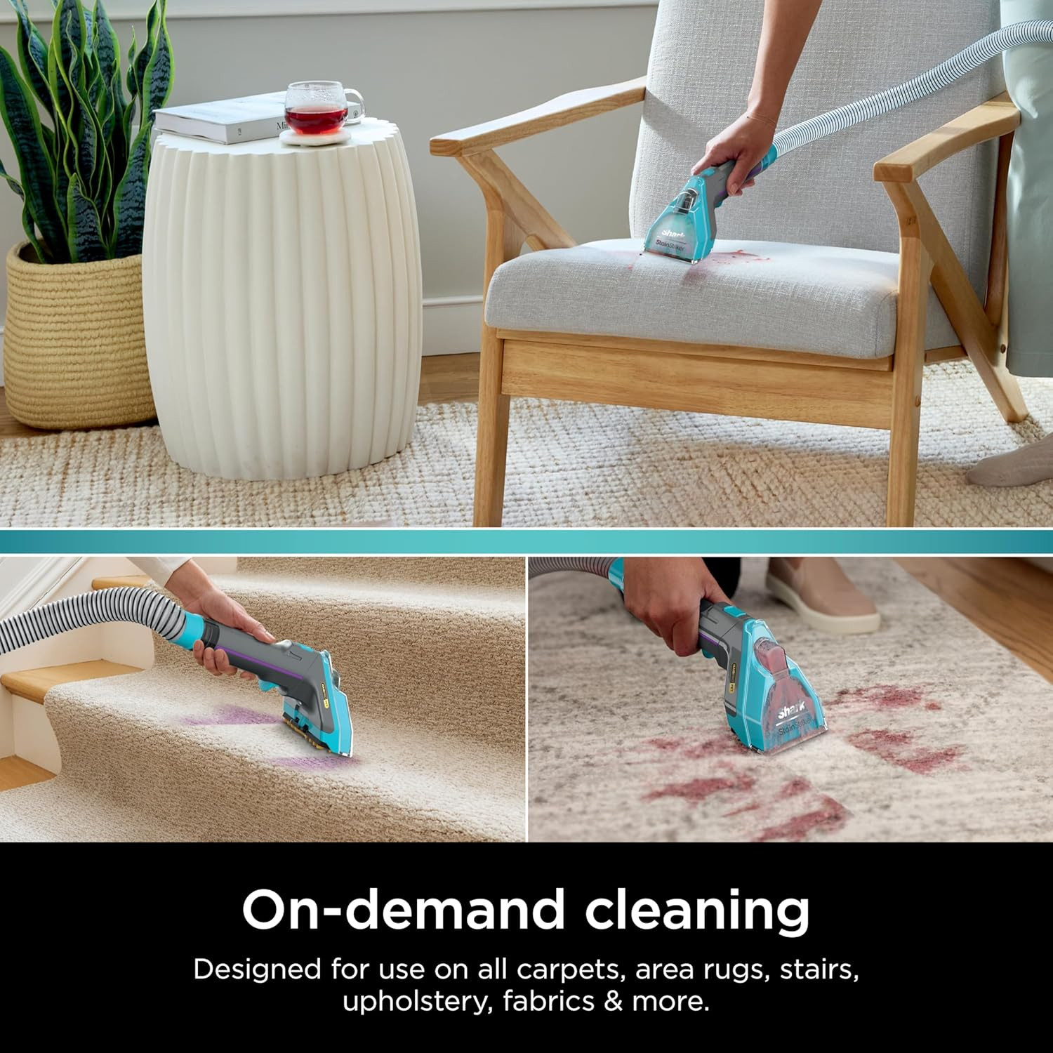 Carpetxpert Deep Clean Pro Formula for All Upright & Portable Carpet Cleaner…