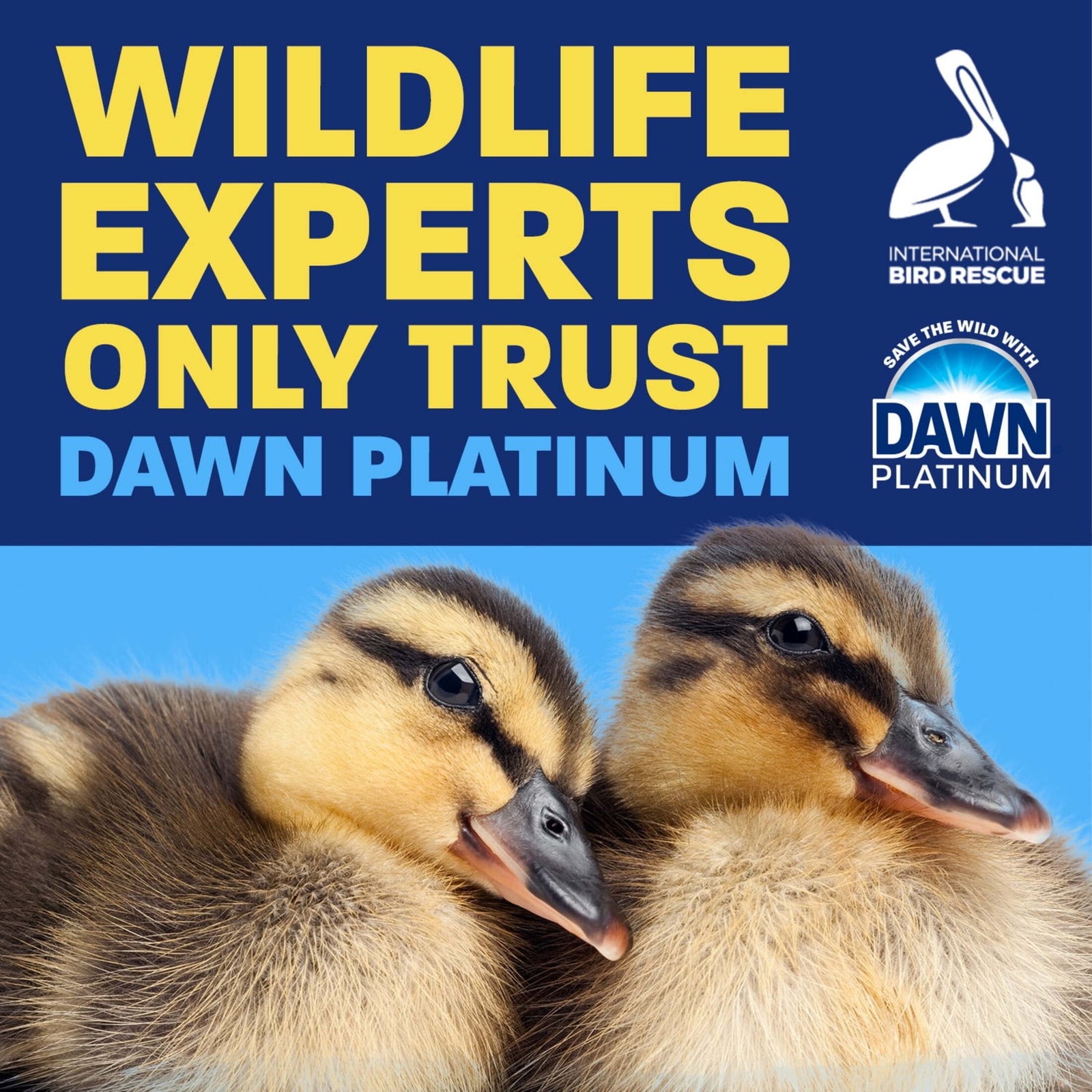 Dawn Platinum EZ-Squeeze Dish Soap, Dishwashing Liquid, Wild Jasmine, 24.3 fl oz