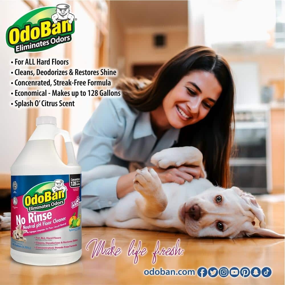 1 Gal. No-Rinse pH Neutral Floor Cleaner (2-Pack) NEW