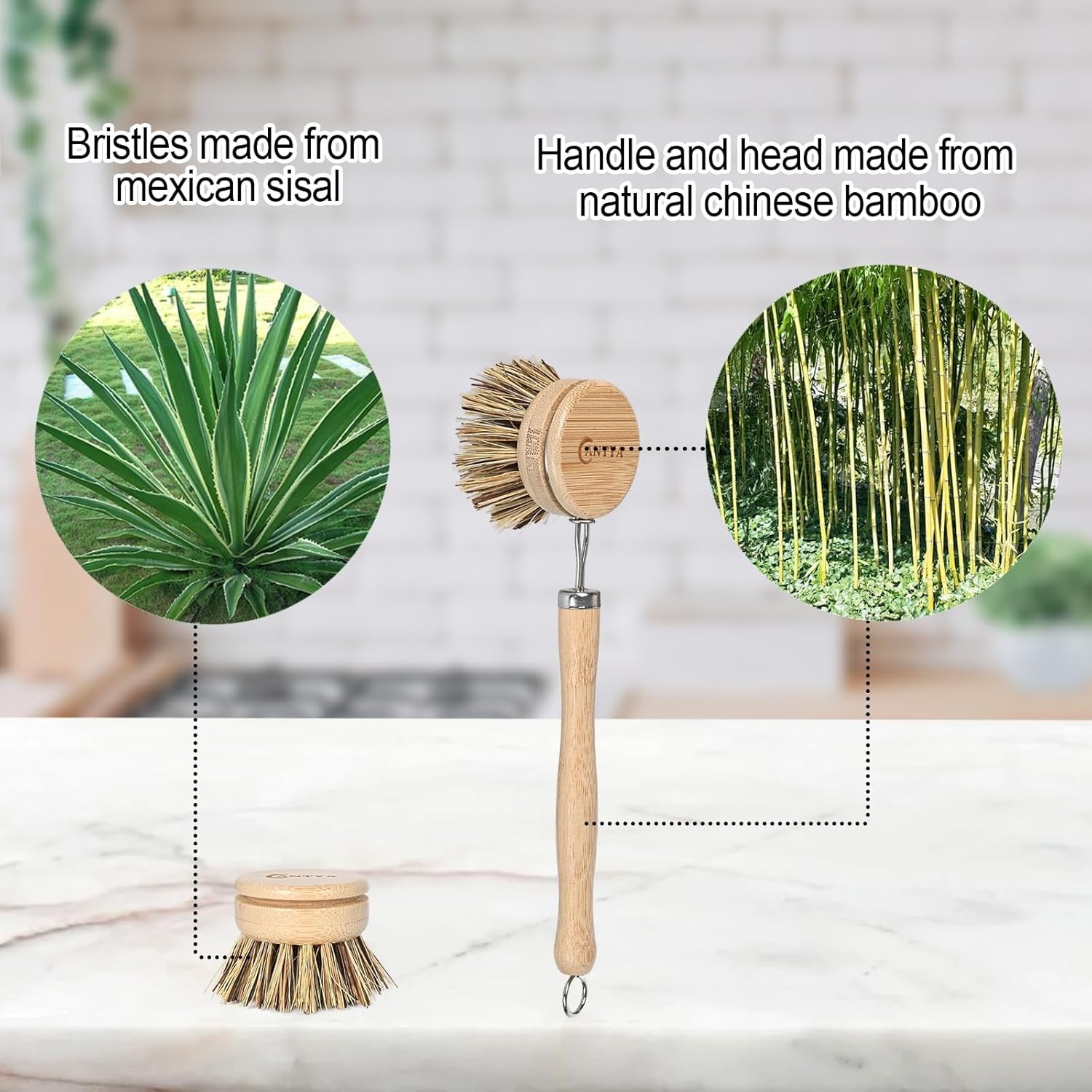 Bamboo Dish Scrubber with Handle – Hard Bristle, Natural Kitchen Brush