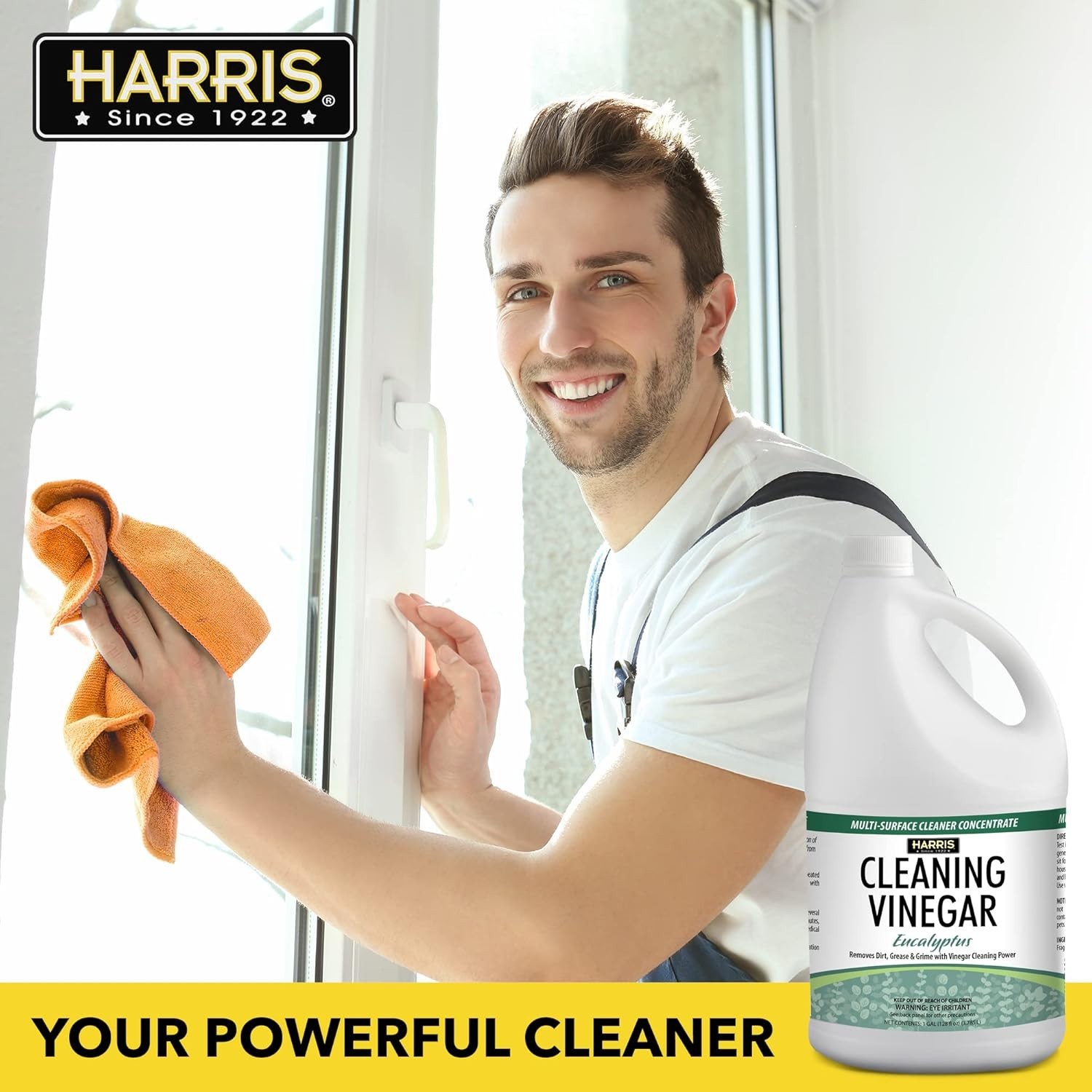 Cleaning Vinegar All Purpose Household Surface Cleaner, 128oz Eucalyptus with…